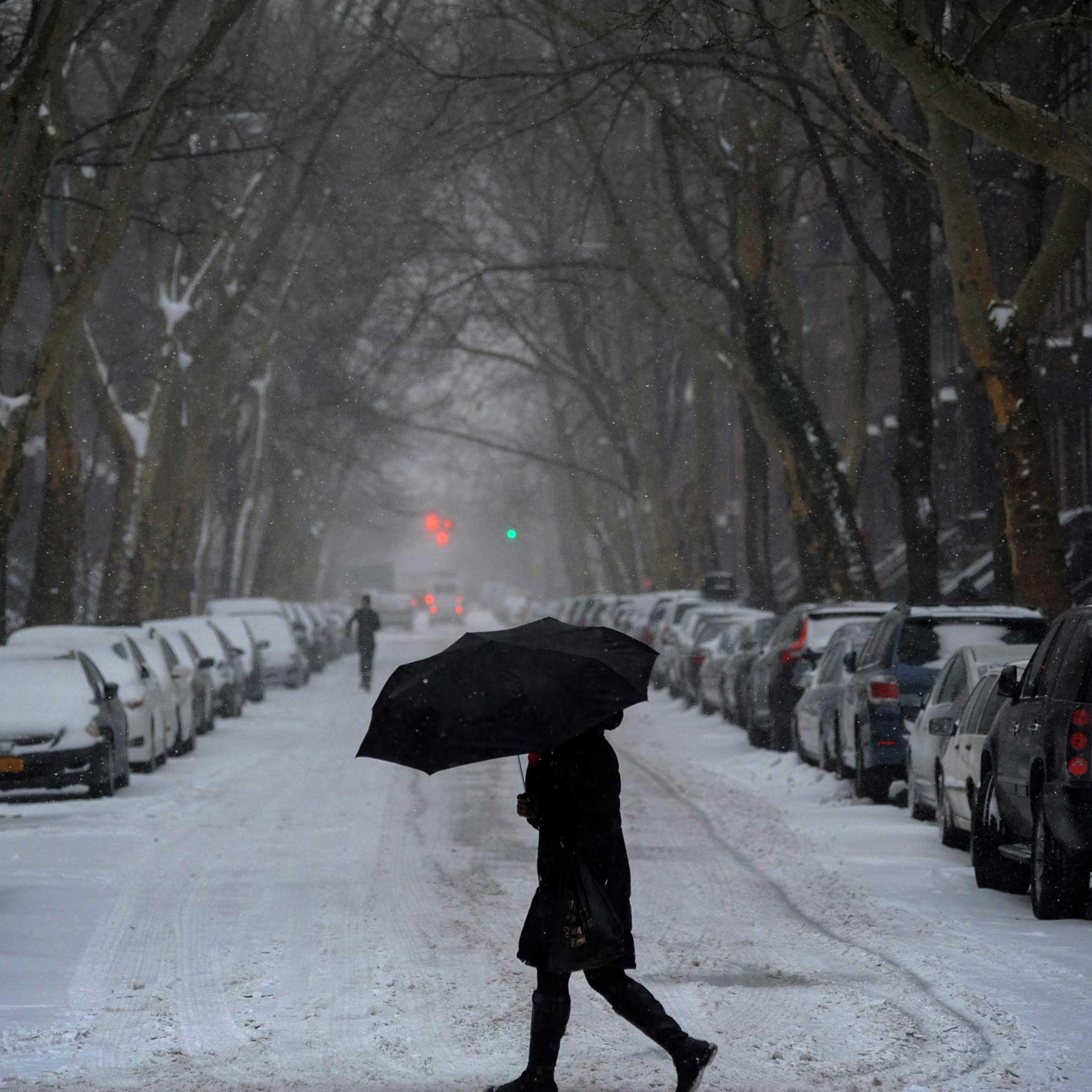 Winter Storm