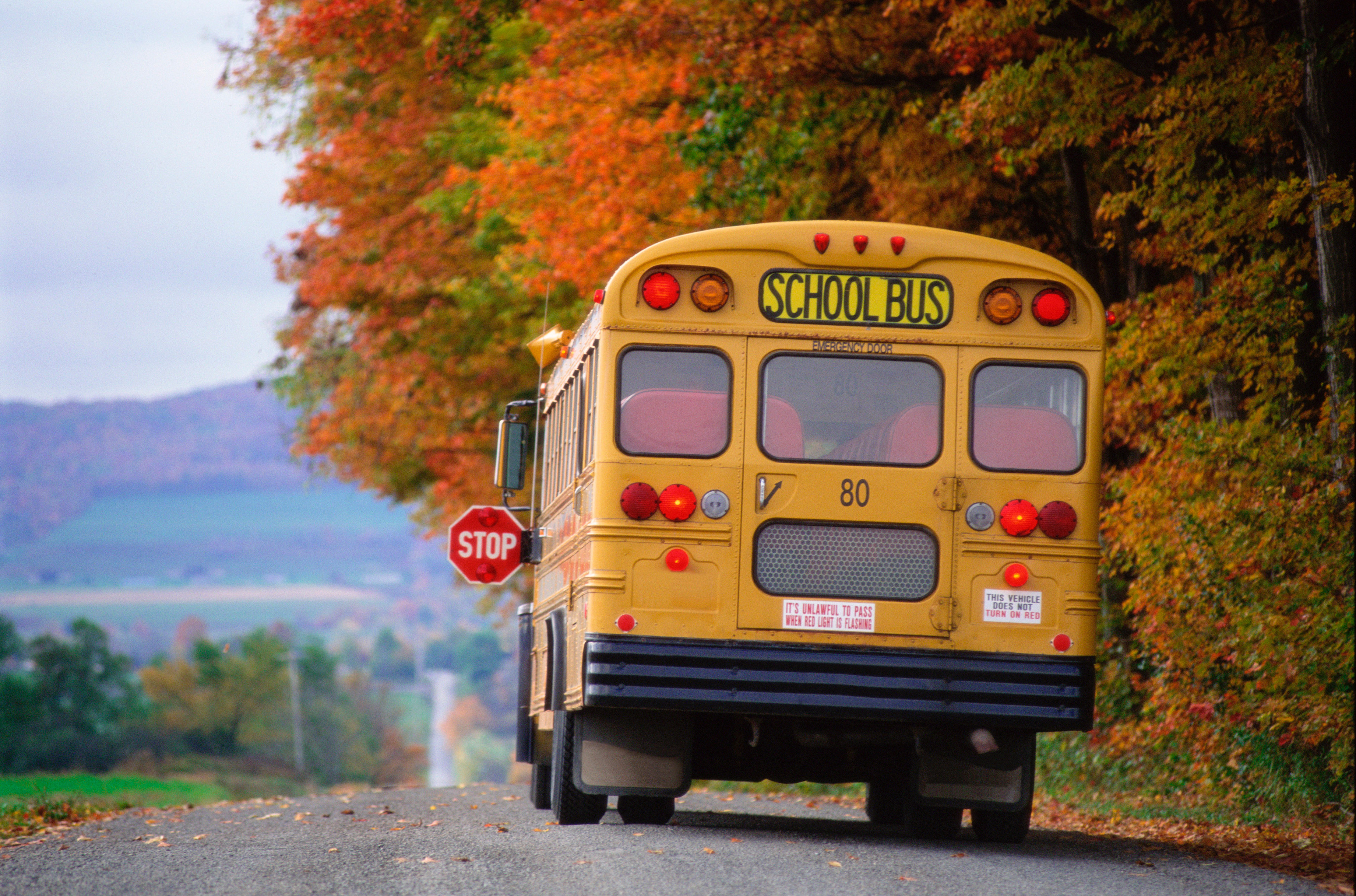 School bus on country road