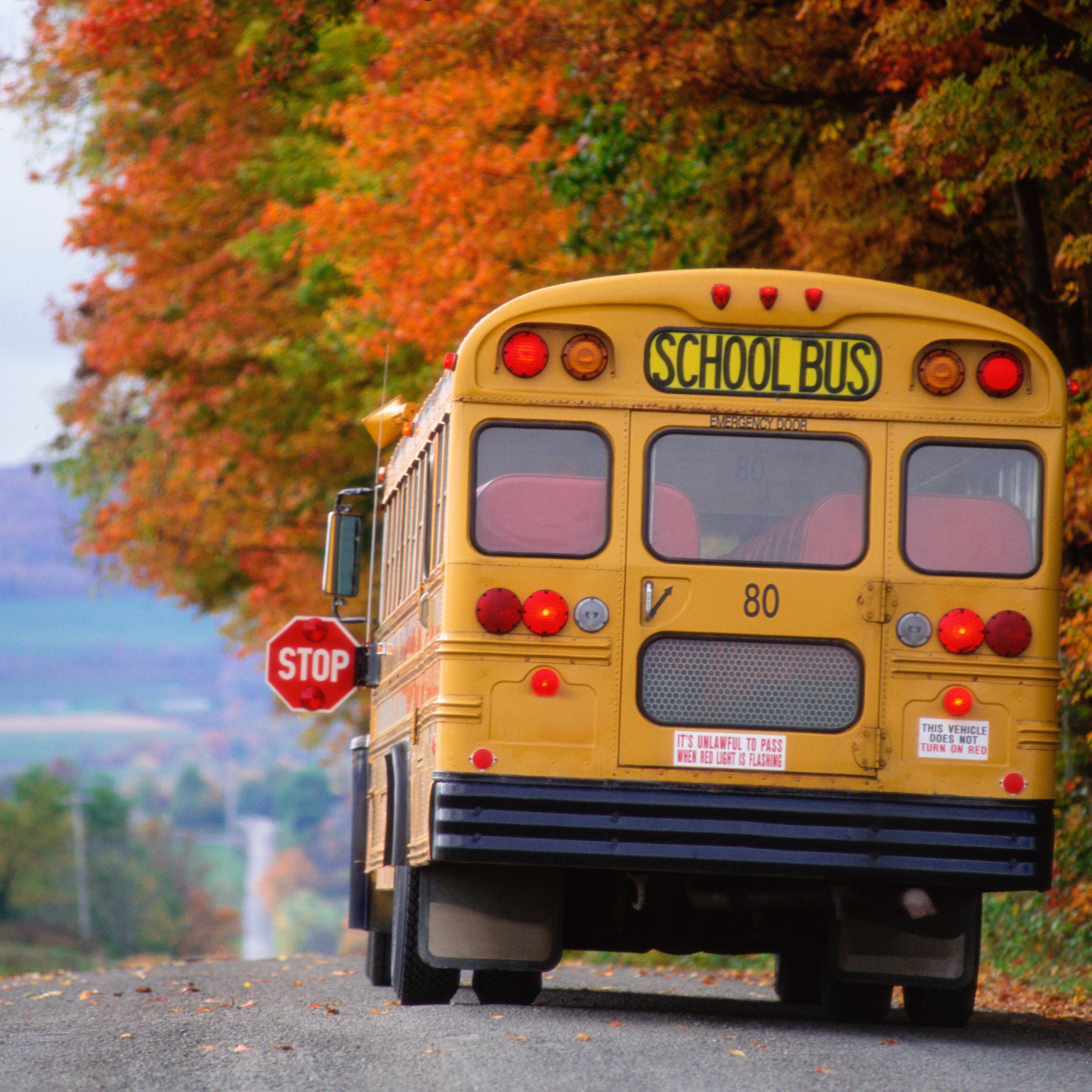 School bus on country road