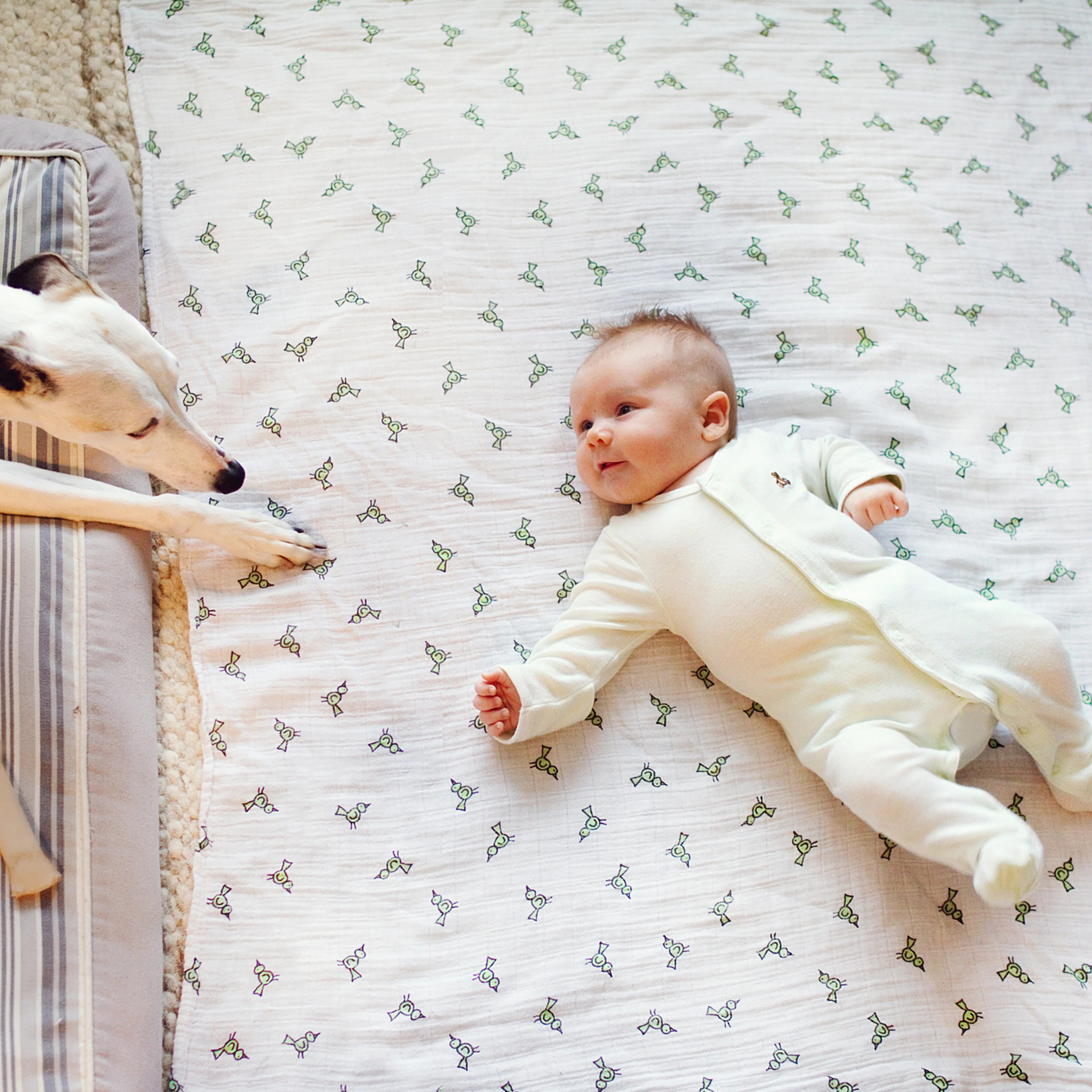 A baby with a dog