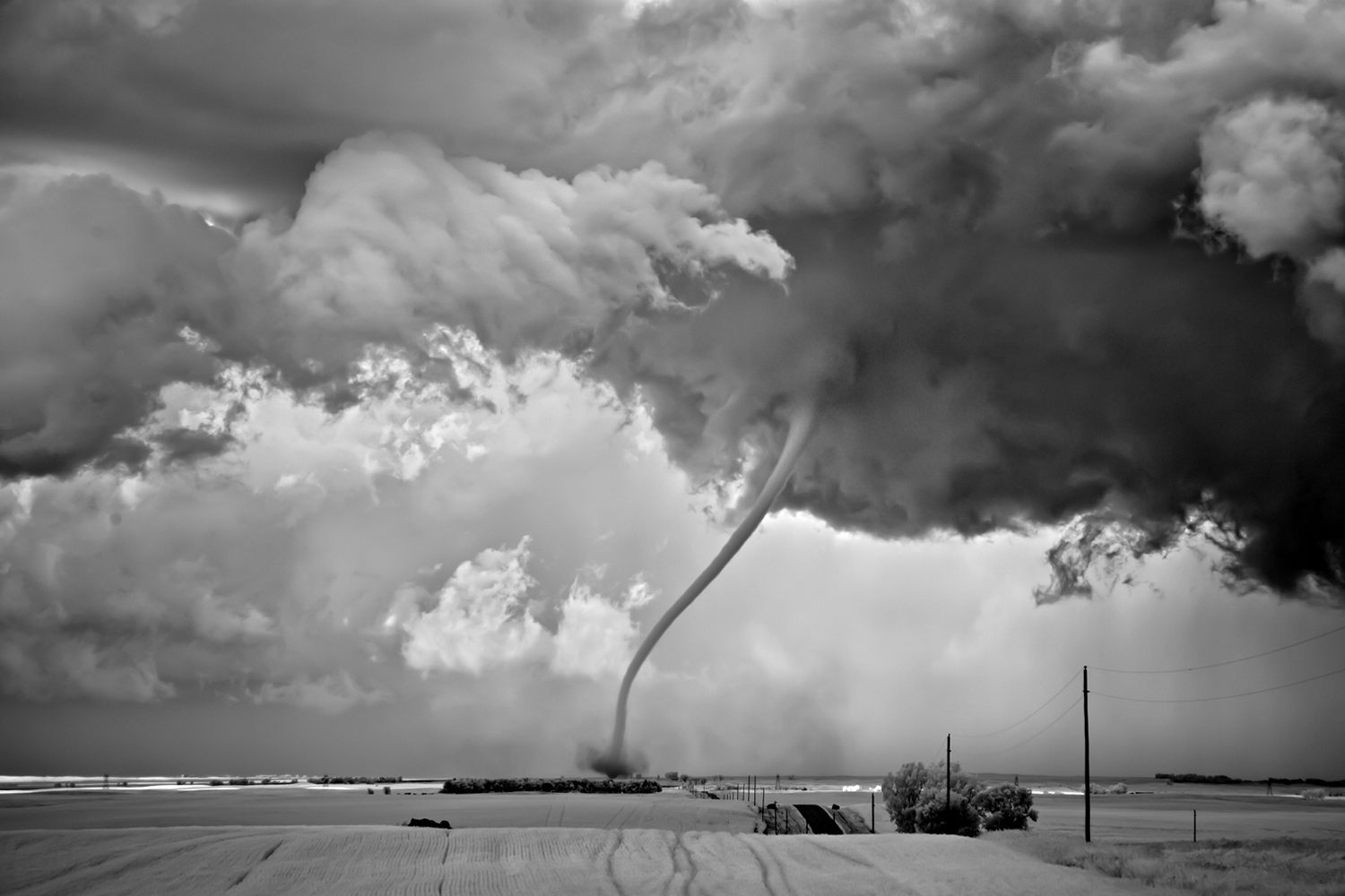 <i>Rope Out</i><br>
Regan, North Dakota, 2011