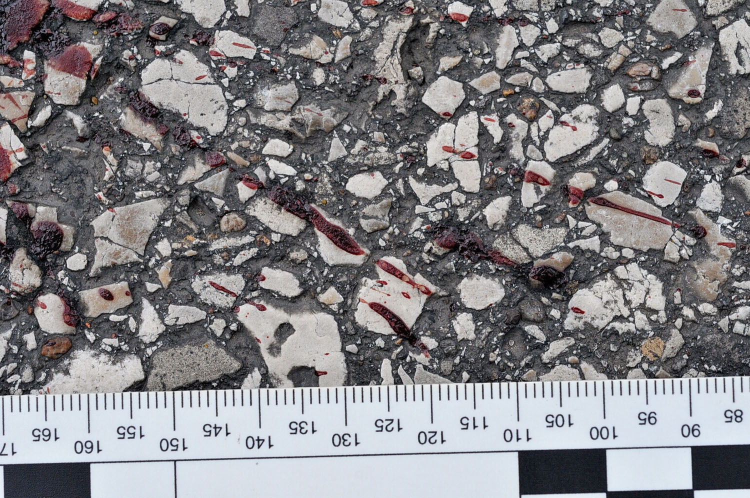 An undated evidence photograph made available by the St. Louis County prosecutors office on Nov. 25, 2014 shows blood stains on the street pavement from teenager Michael Brown's body following his shooting by Ferguson police officer Darren Wilson in Ferg