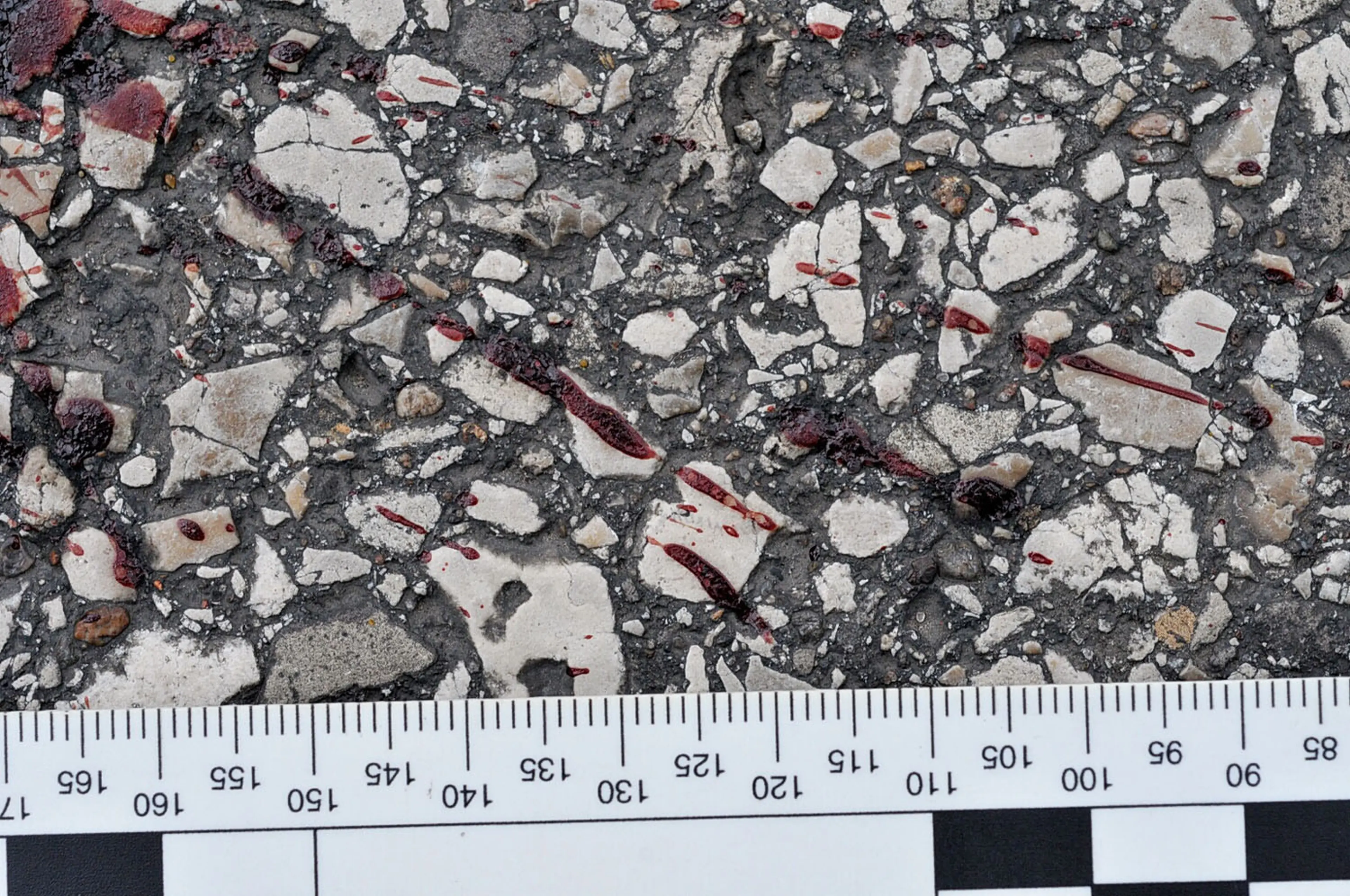 An undated evidence photograph made available by the St. Louis County prosecutors office on Nov. 25, 2014 shows blood stains on the street pavement from teenager Michael Brown's body following his shooting by Ferguson police officer Darren Wilson in Ferg