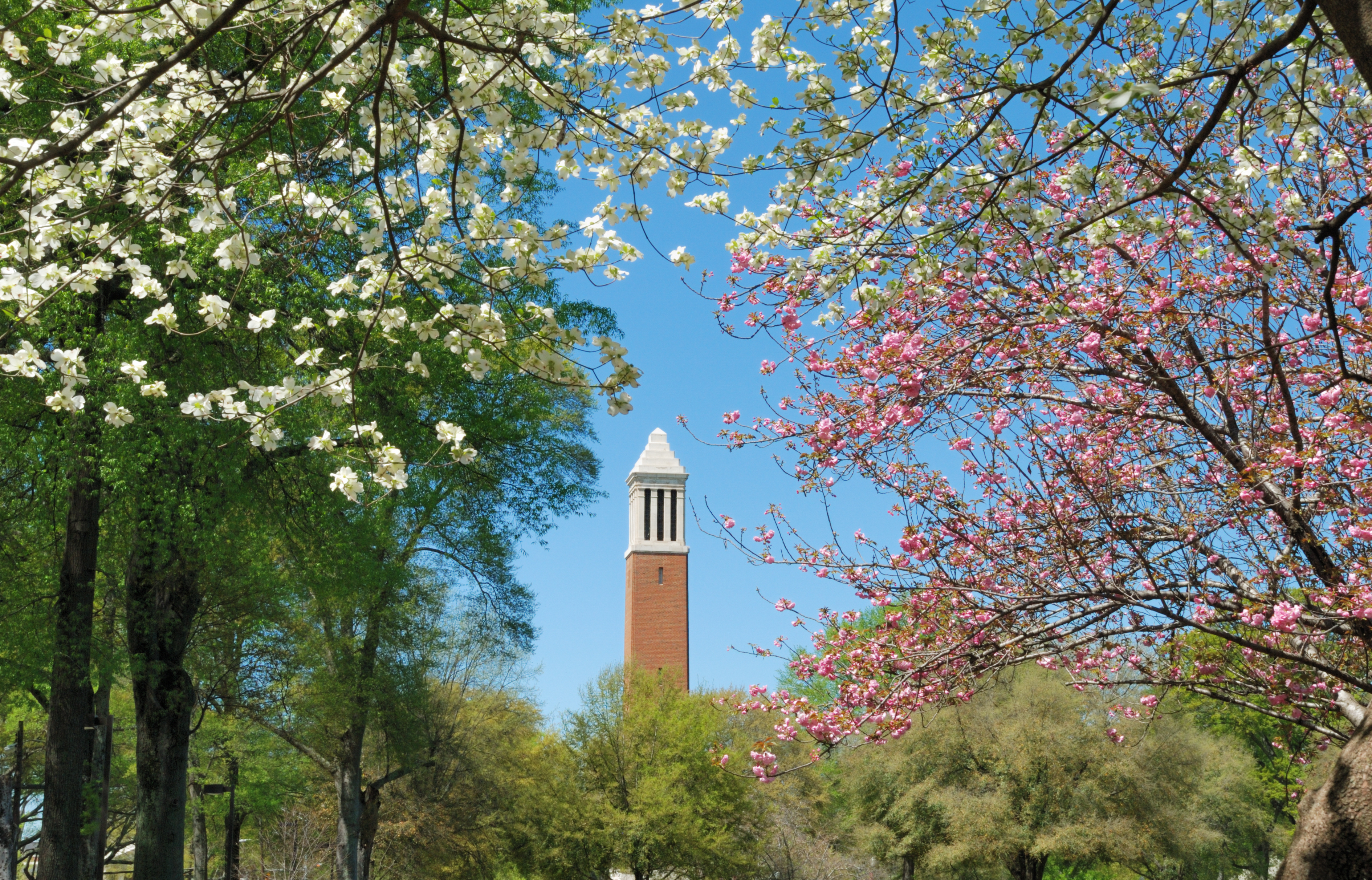 The University of Alabama