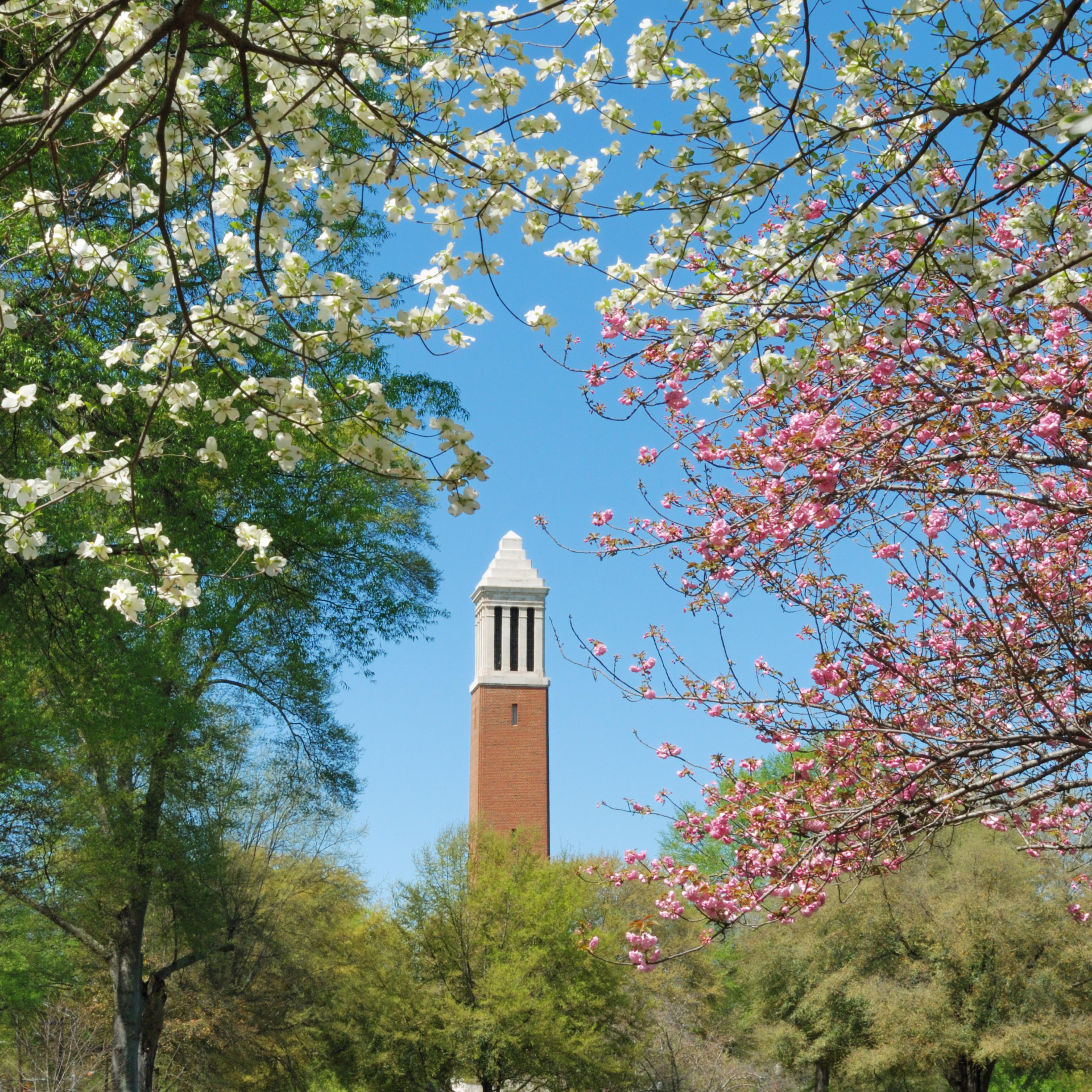 The University of Alabama
