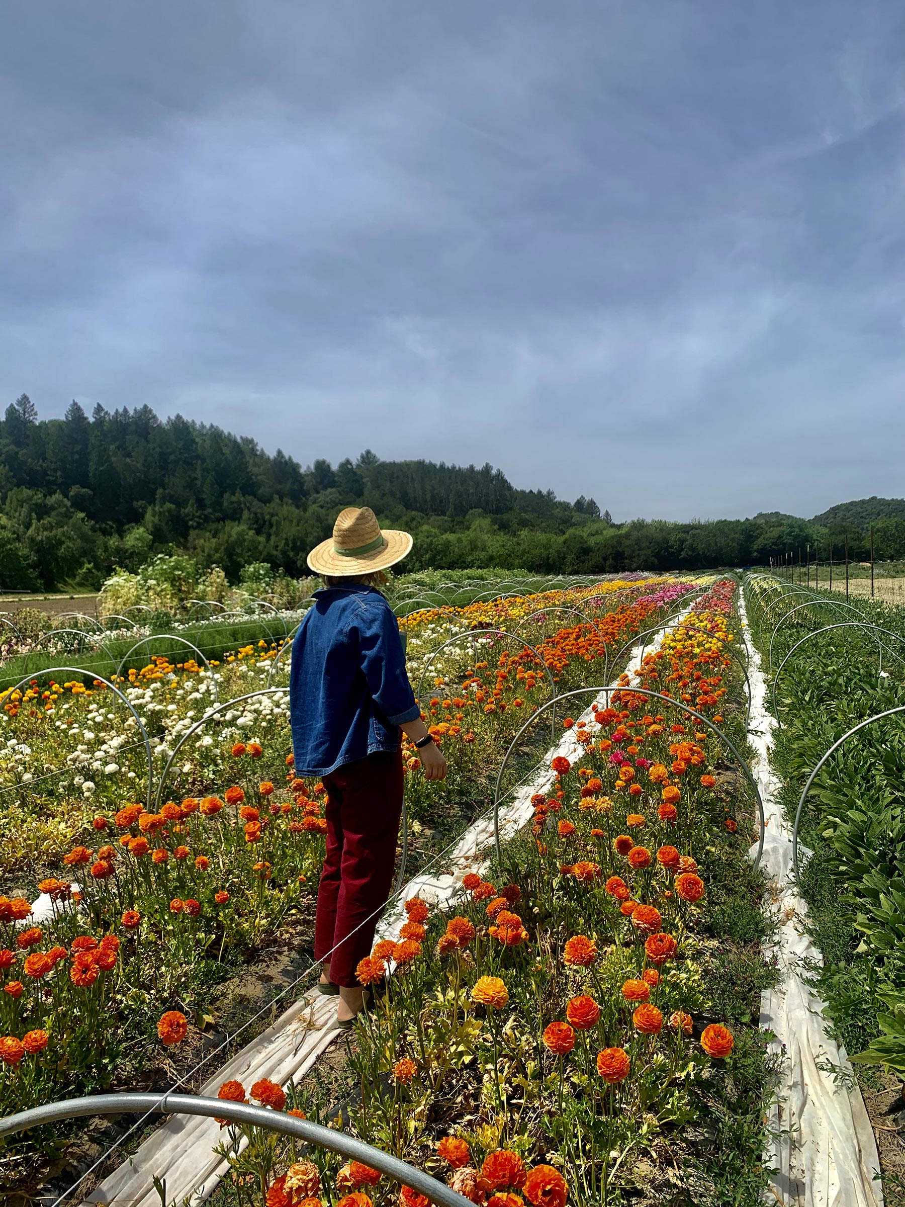 Eliza Milio at Front Porch Farm in Healdsburg, Calif., on April 25, 2020.