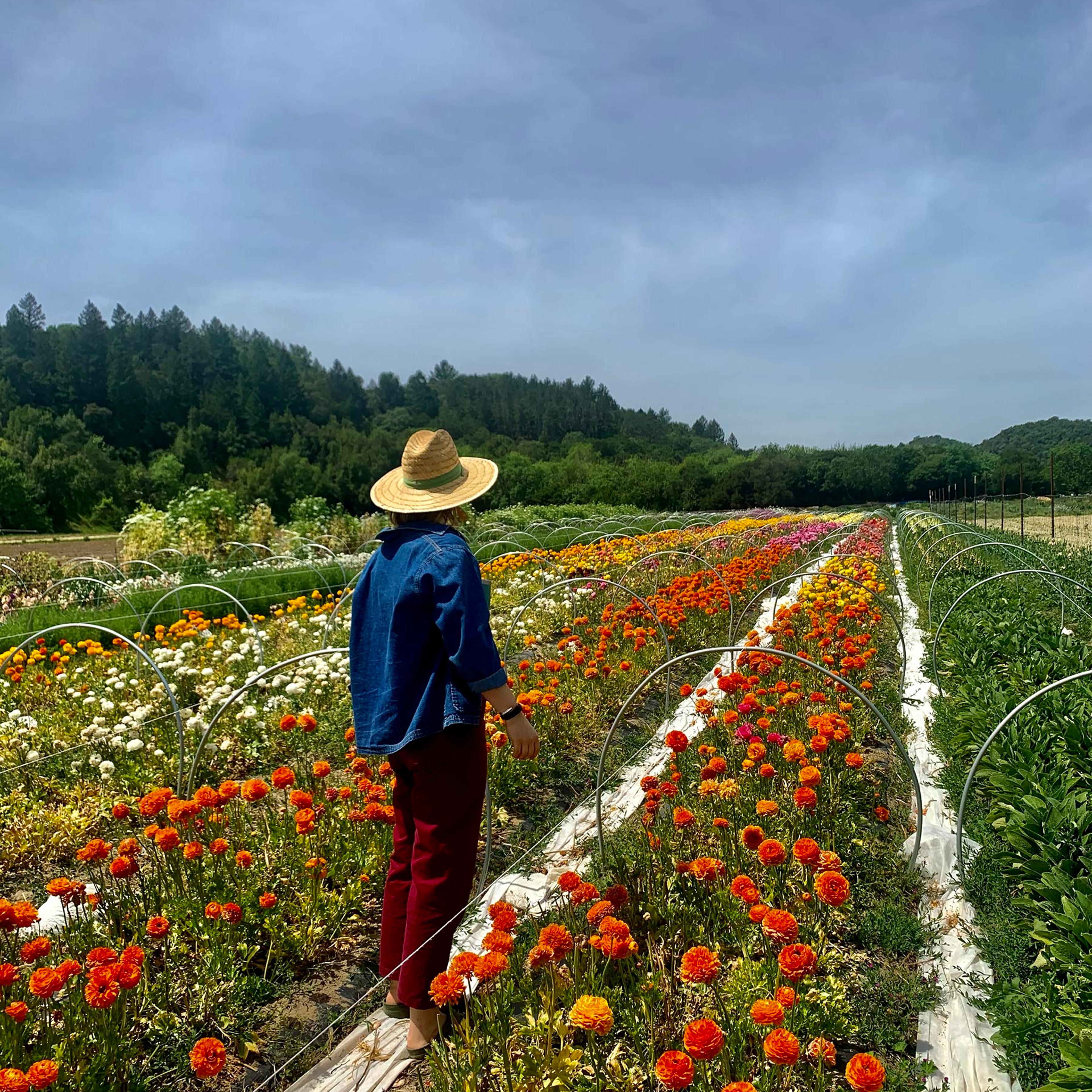 Eliza Milio at Front Porch Farm in Healdsburg, Calif., on April 25, 2020.