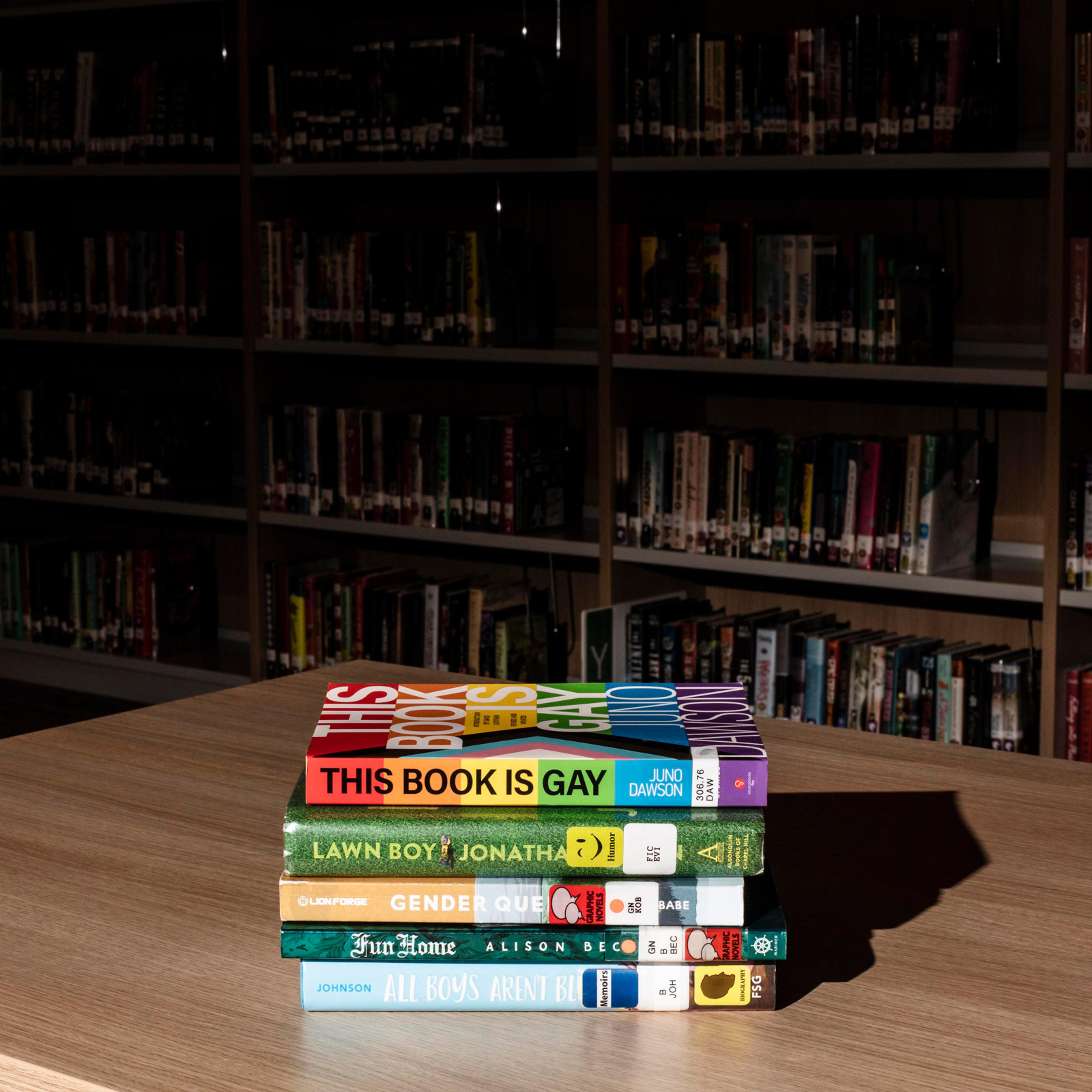 Book Banning and a New Jersey High School Library