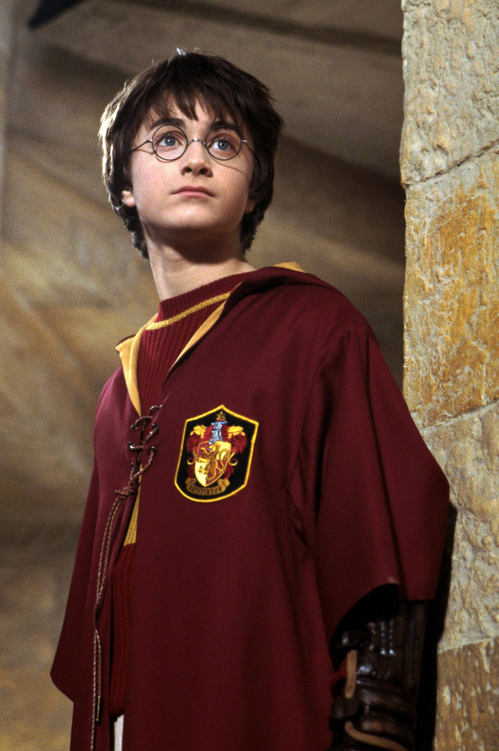 Harry Potter Gryffindor