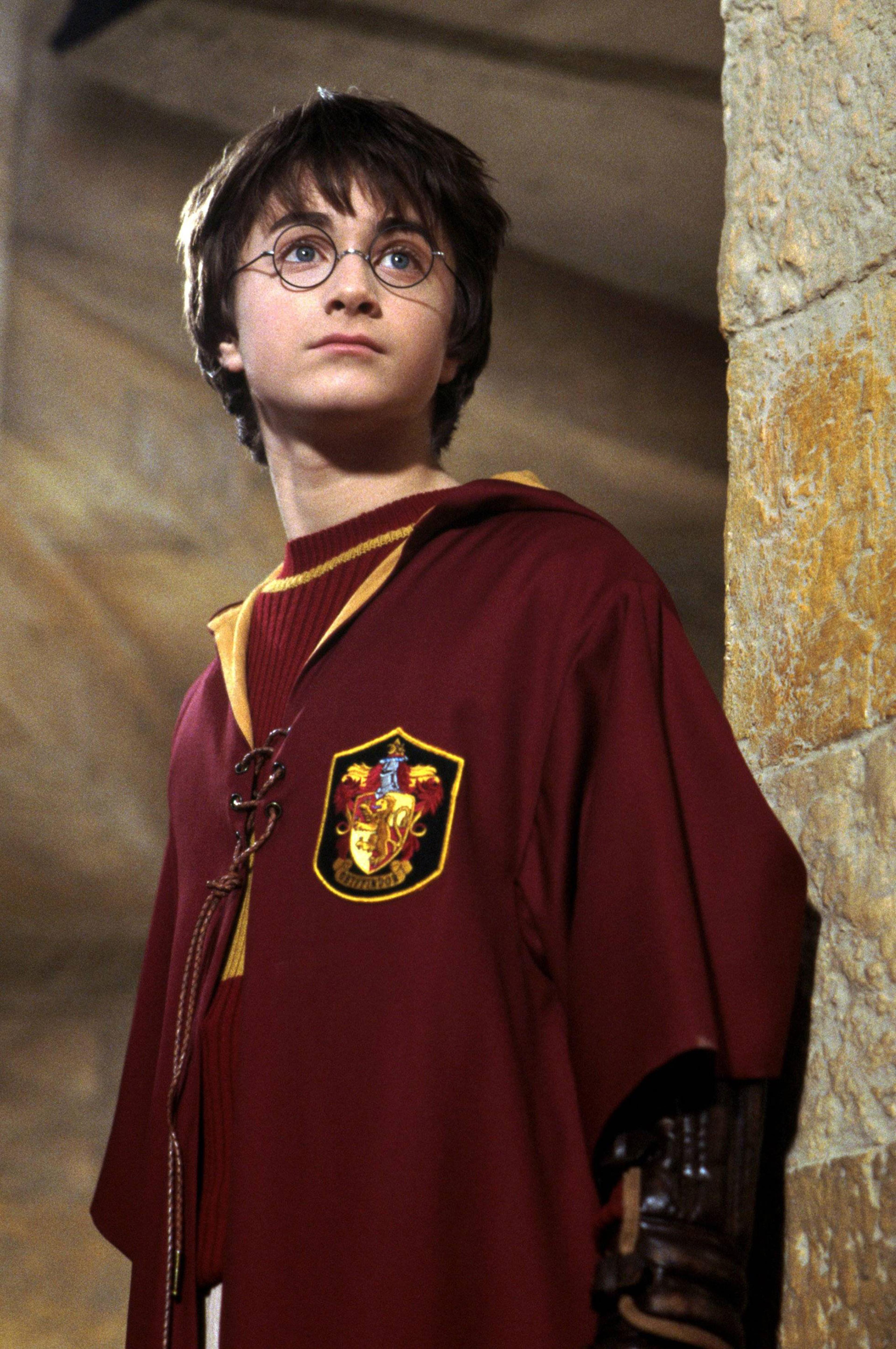 Harry Potter Gryffindor