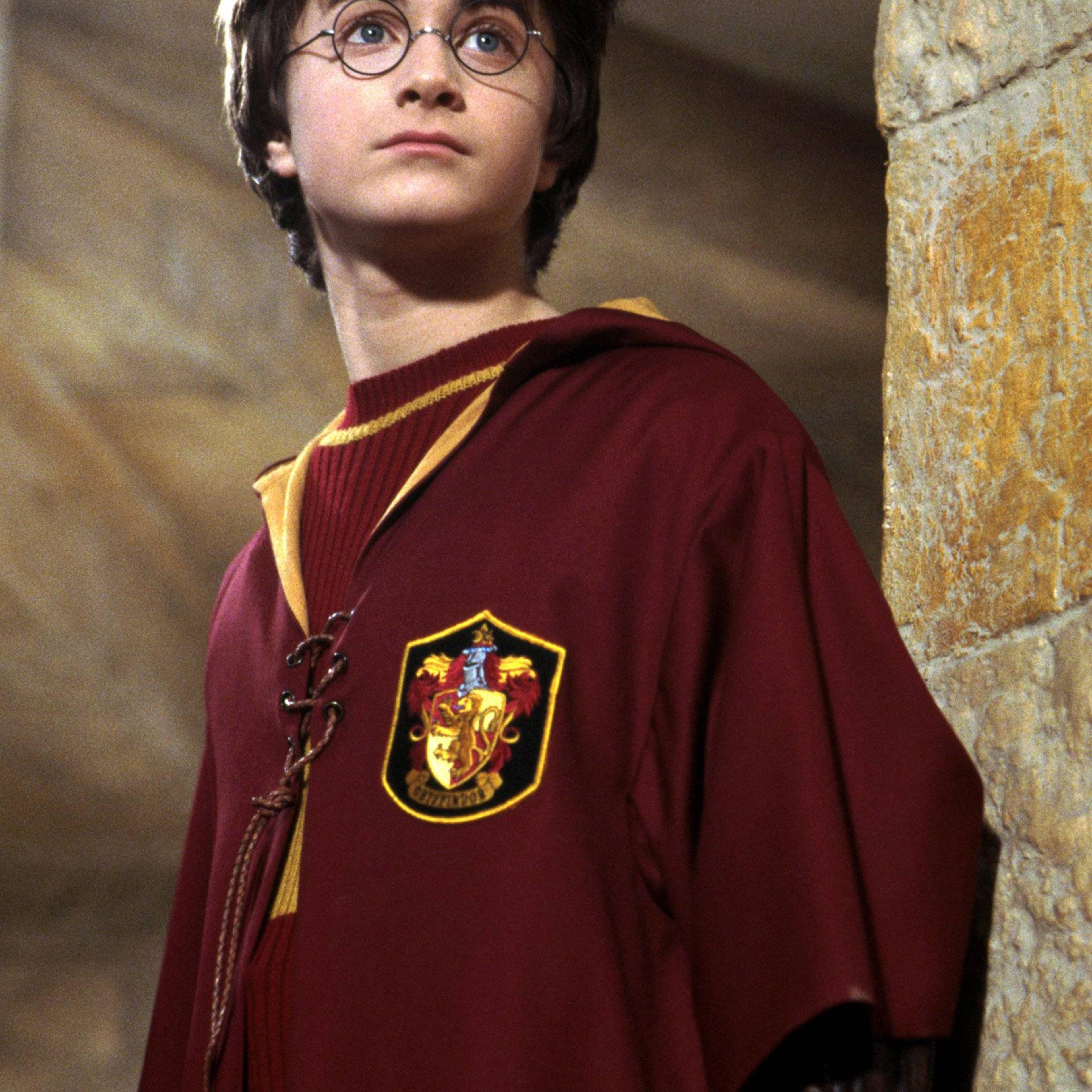 Harry Potter Gryffindor