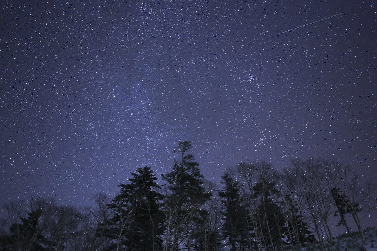 Stars in night sky