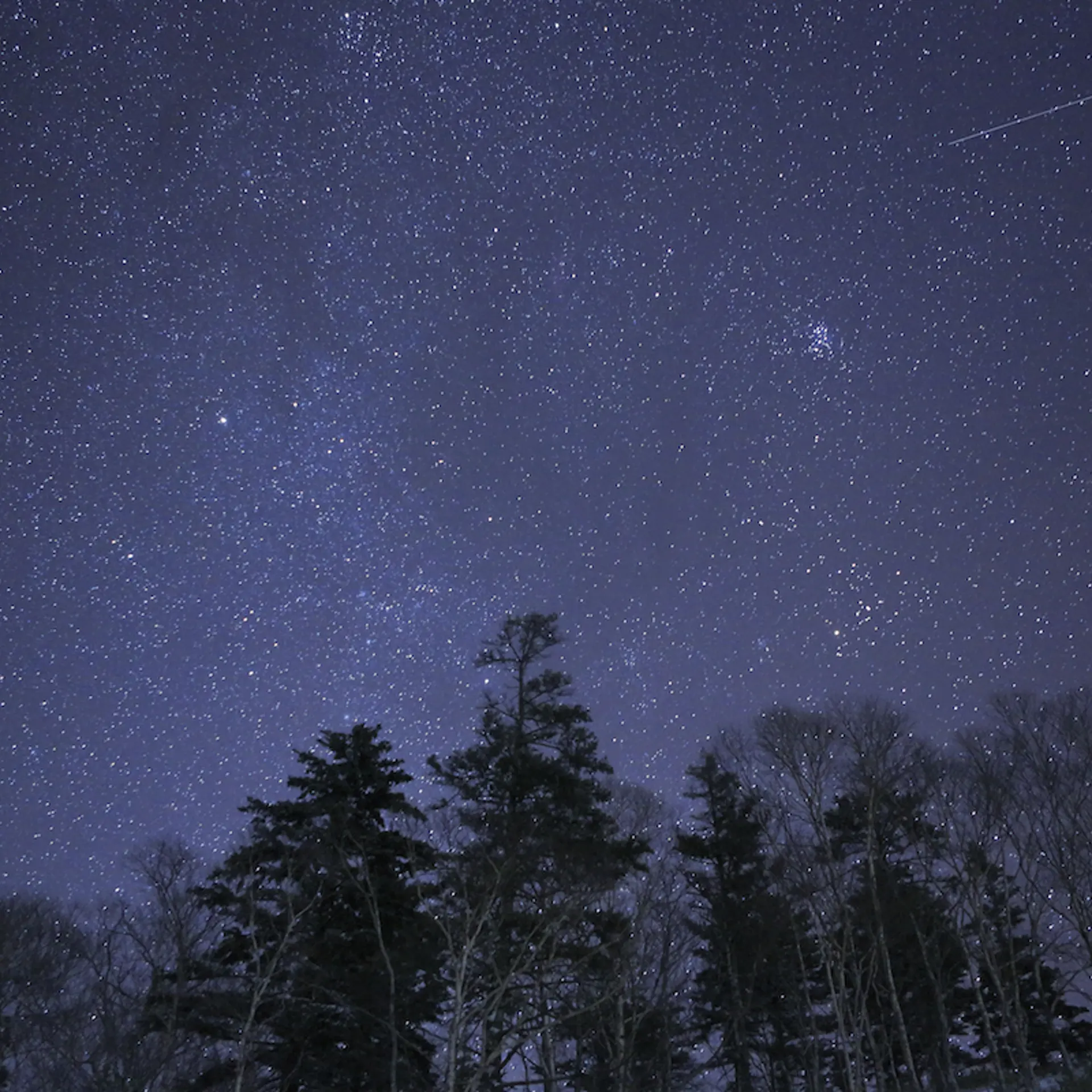 Stars in night sky