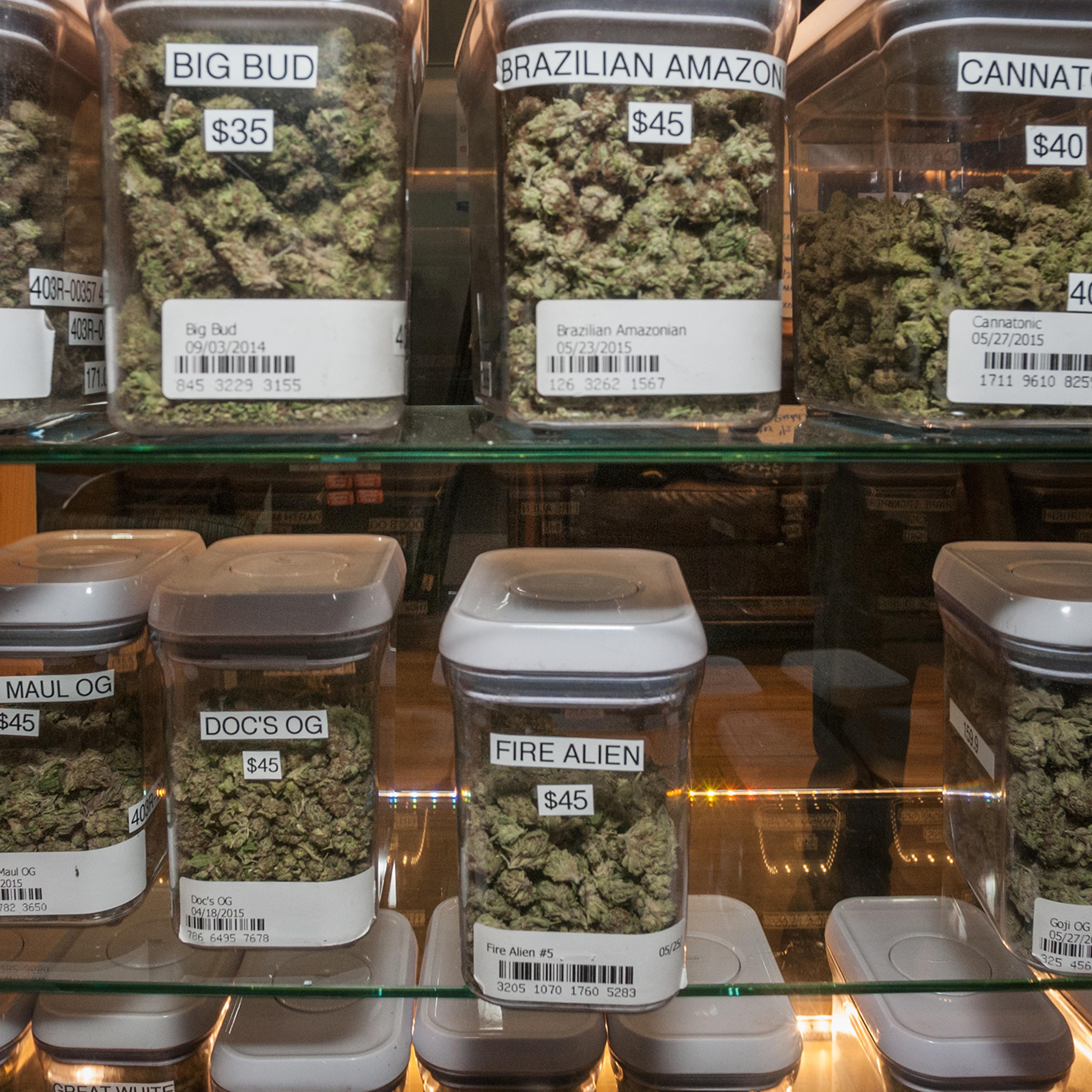 Marijuana hybrid flowers for sale.