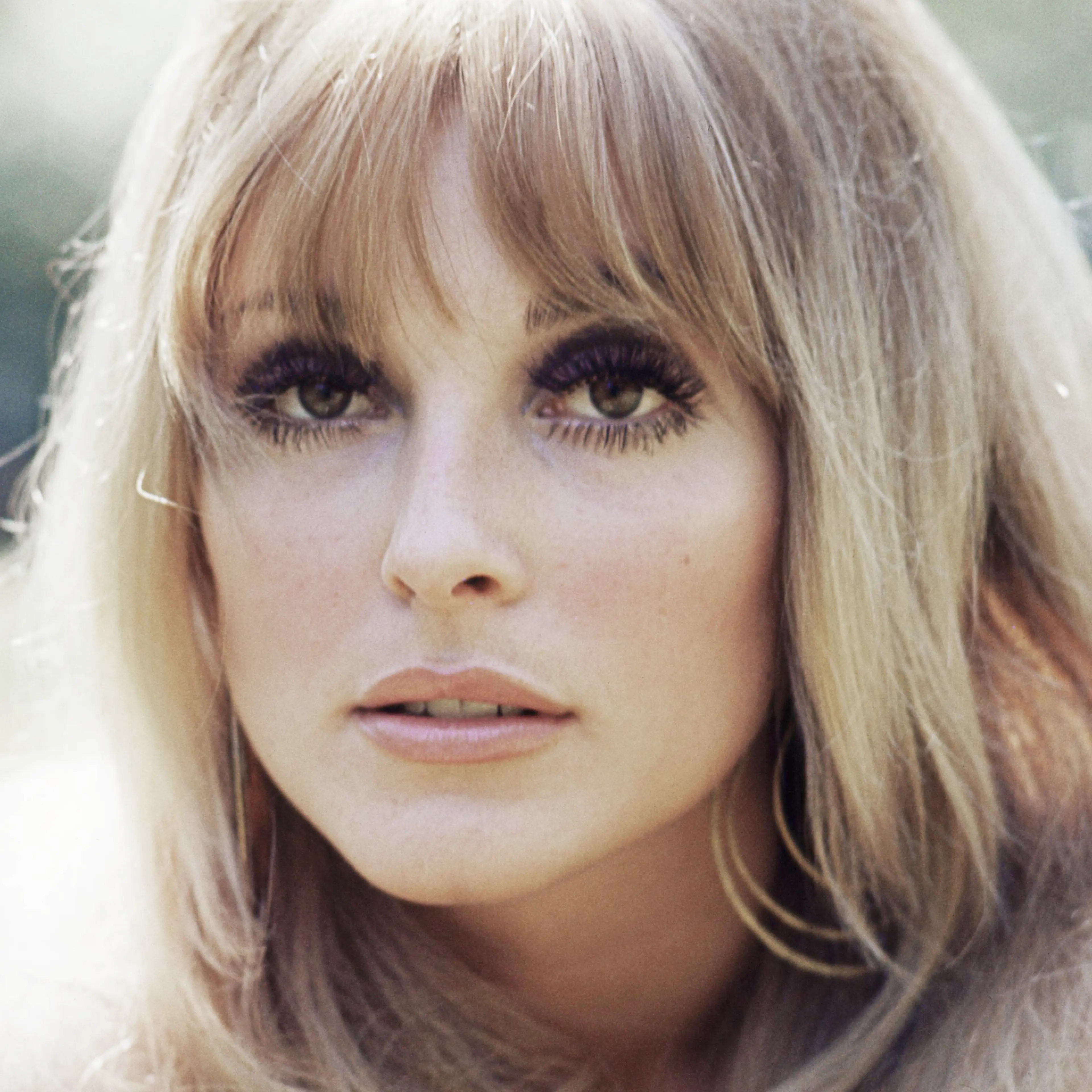 The actress Sharon Tate, circa 1965