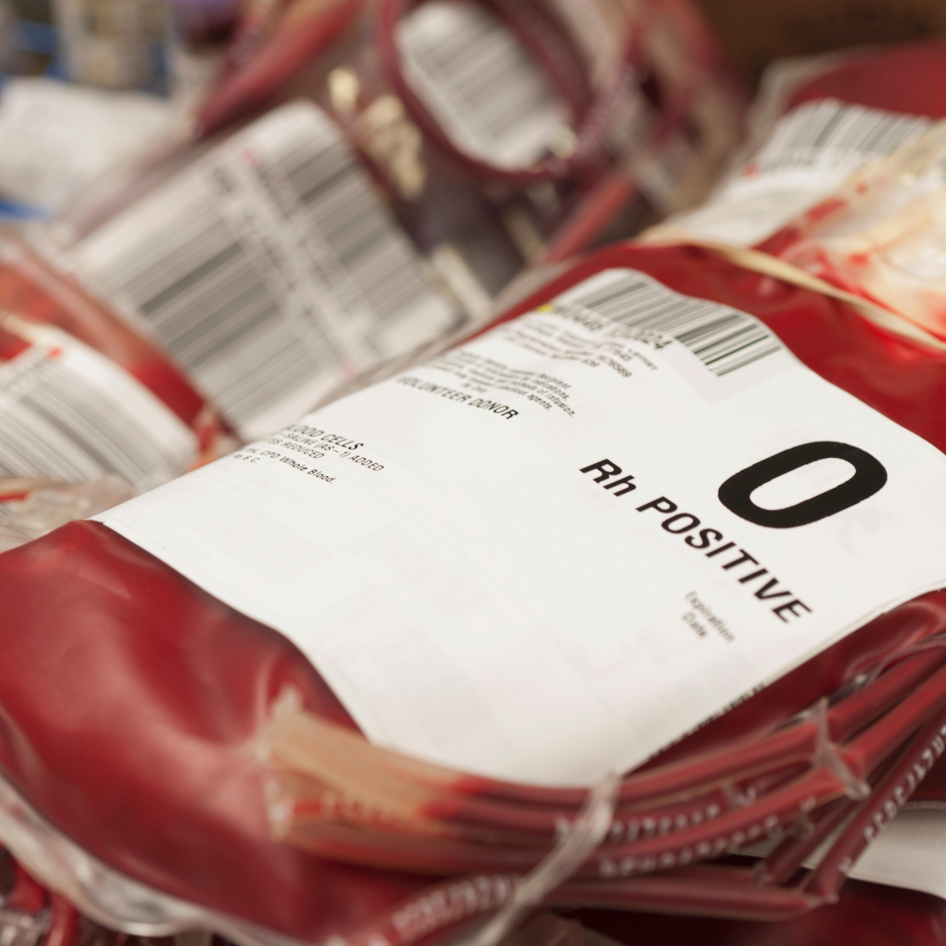 Pouches of donated blood in hospital