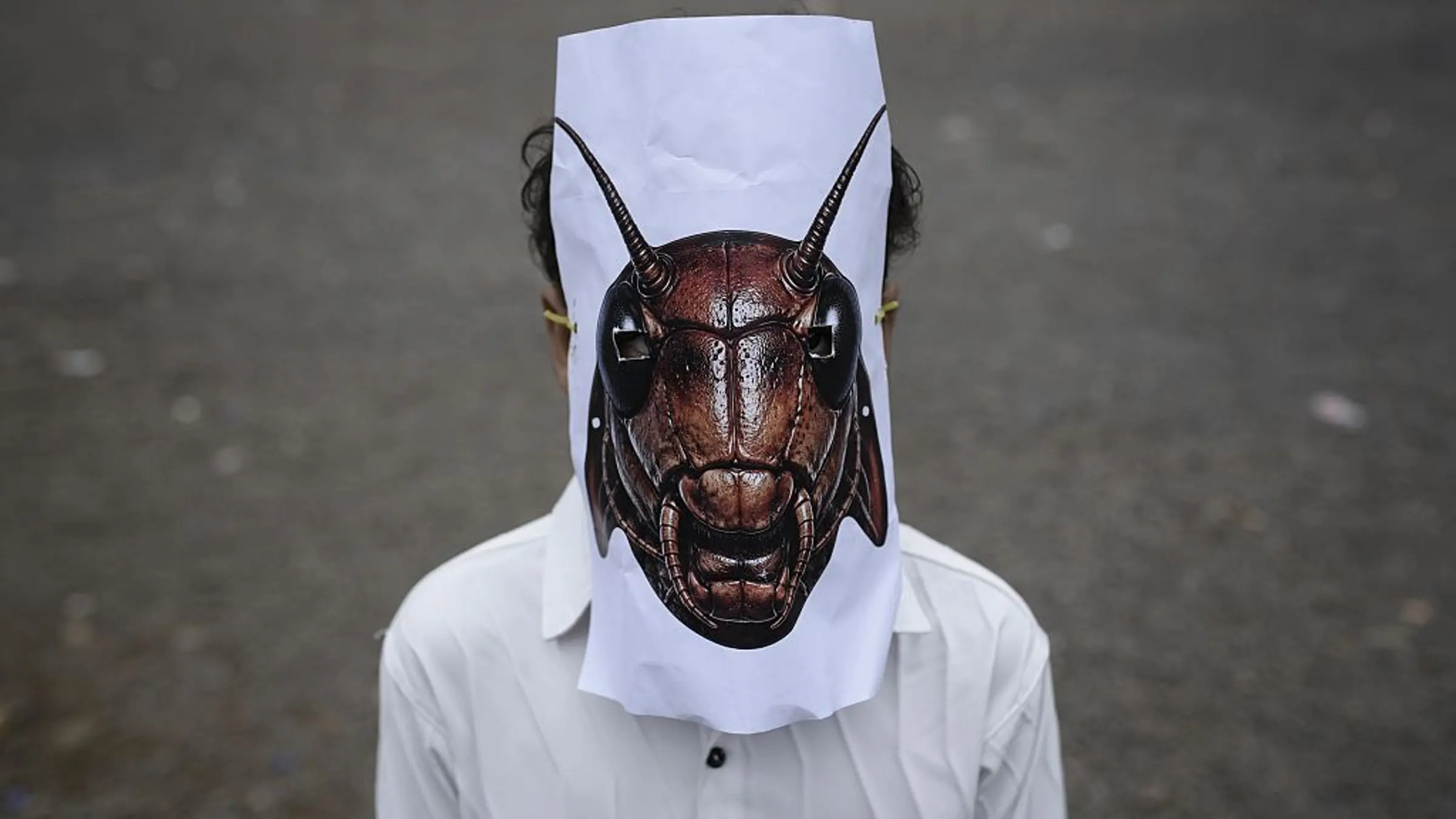 Where Does India's Cockroach Movement Go From Here?