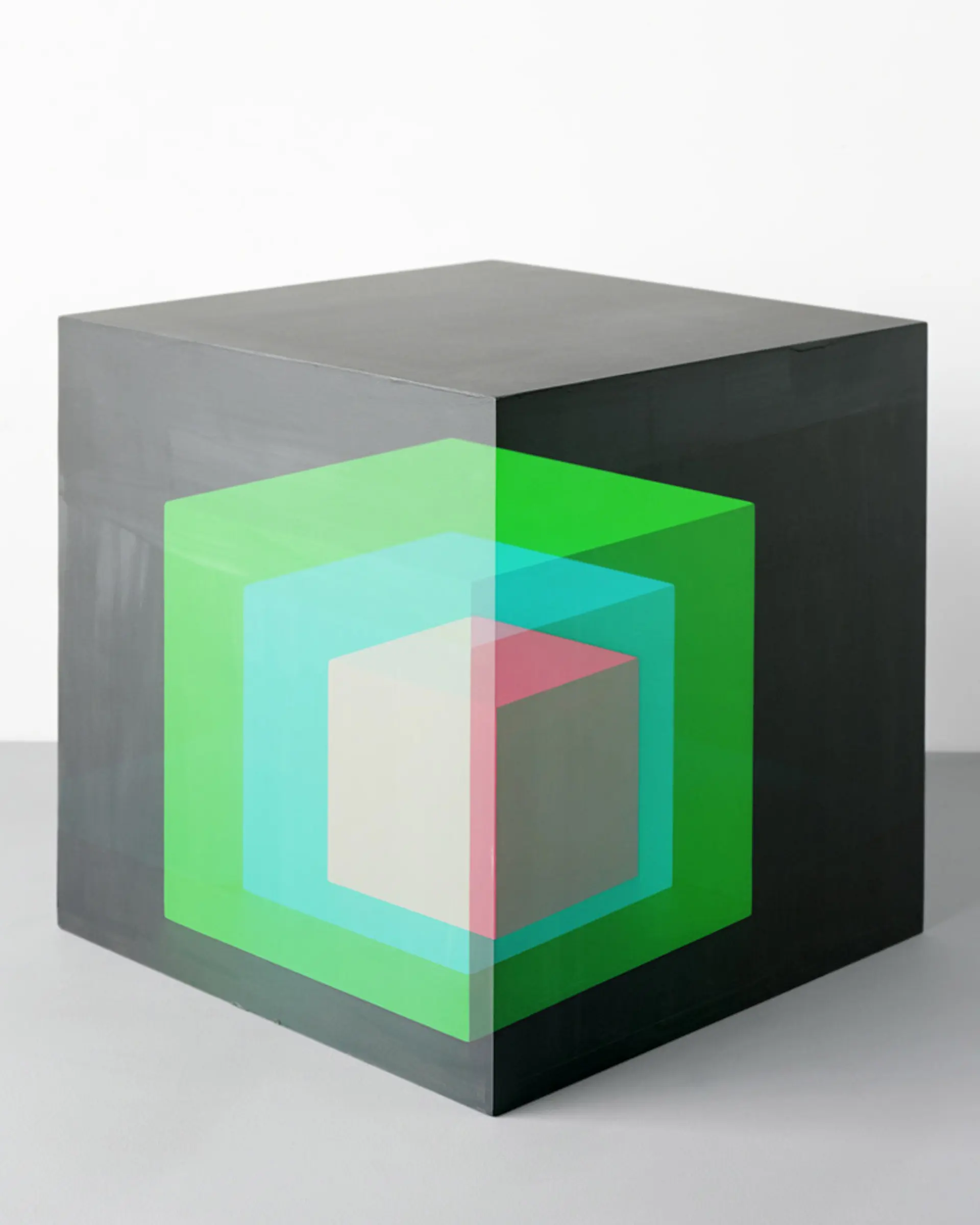 cfaal 65, 2010