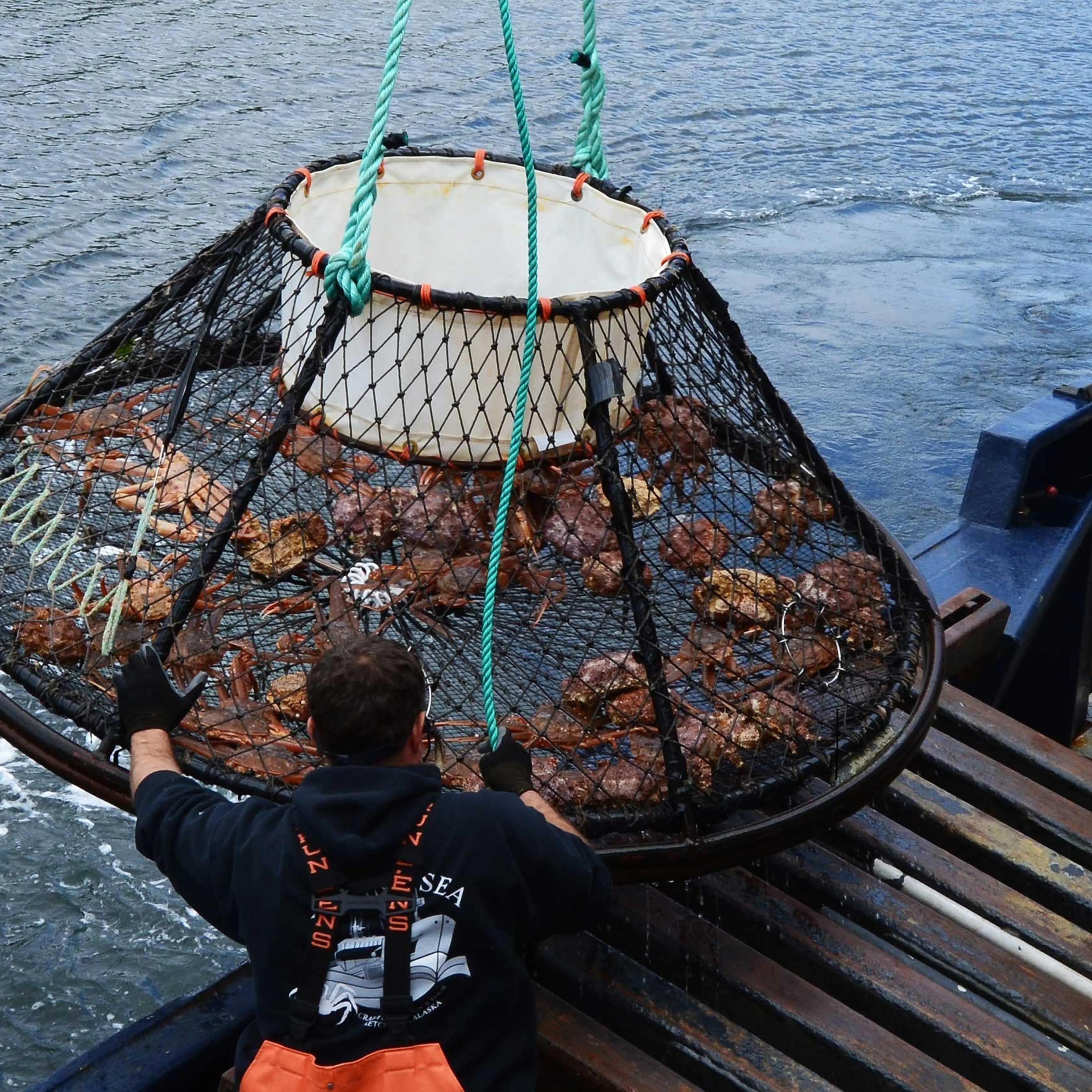 A fisherman raises a steel crab trap off the coast of Alaska in 2015. The 2022 Bering Sea snow crab harvest has been cancelled due to population issues.
