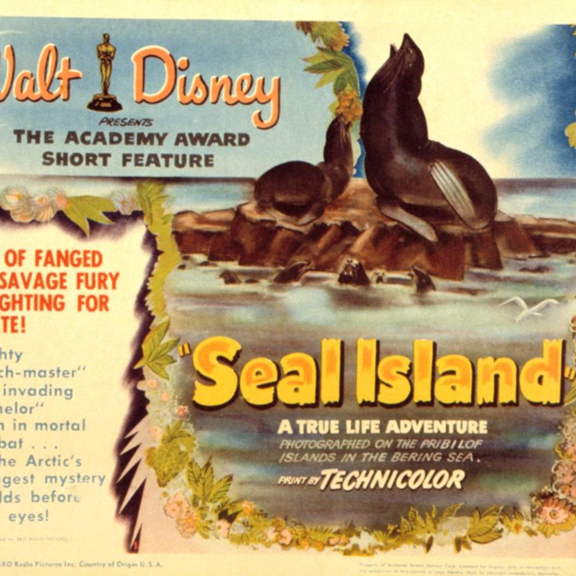 Seal Island