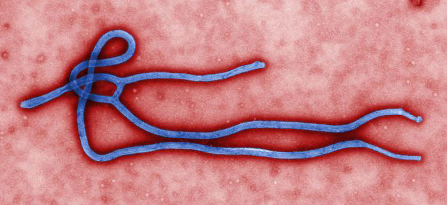 CDC Ebola