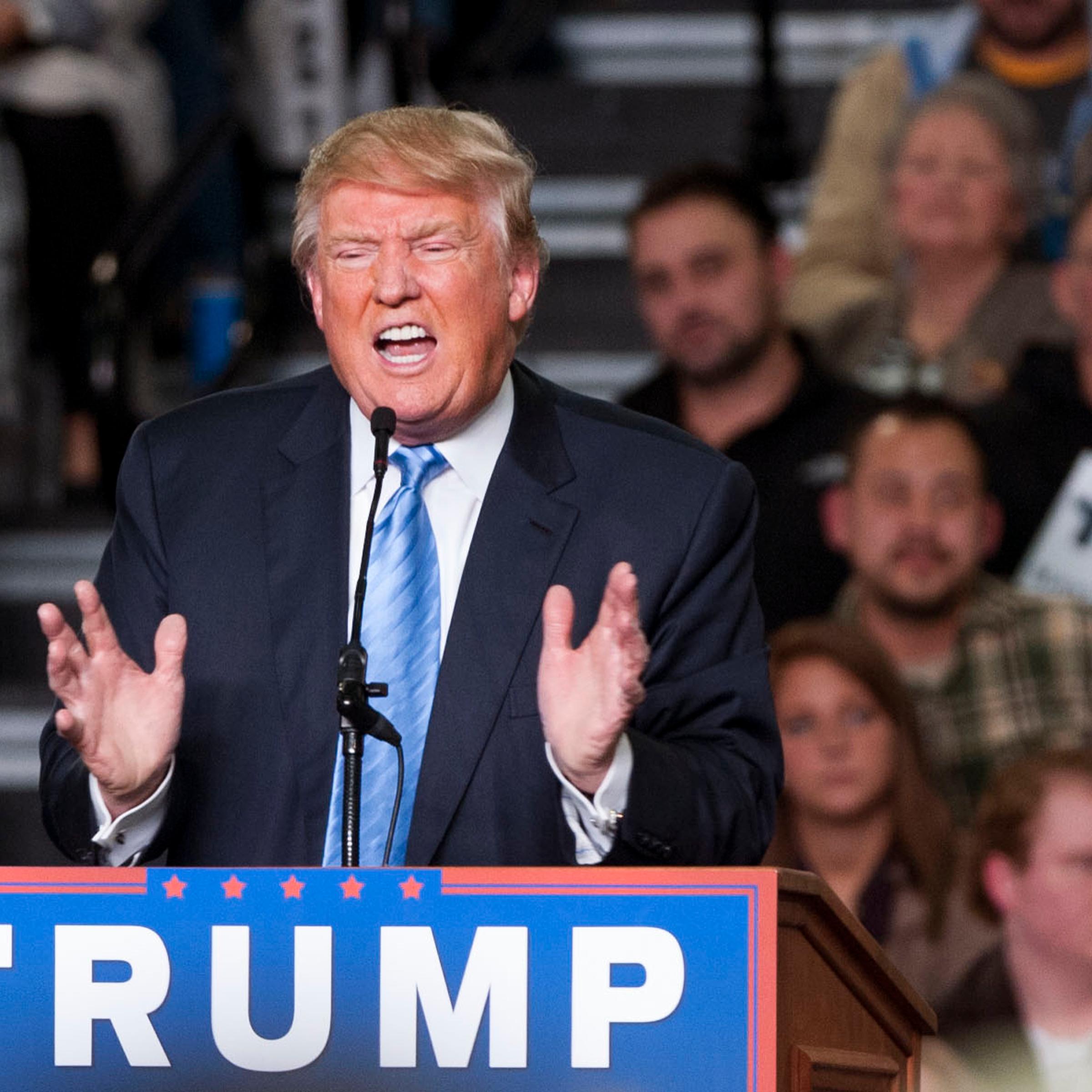 Donald Trump addresses supporters in Columbus, OH on Nov. 23, 2015.