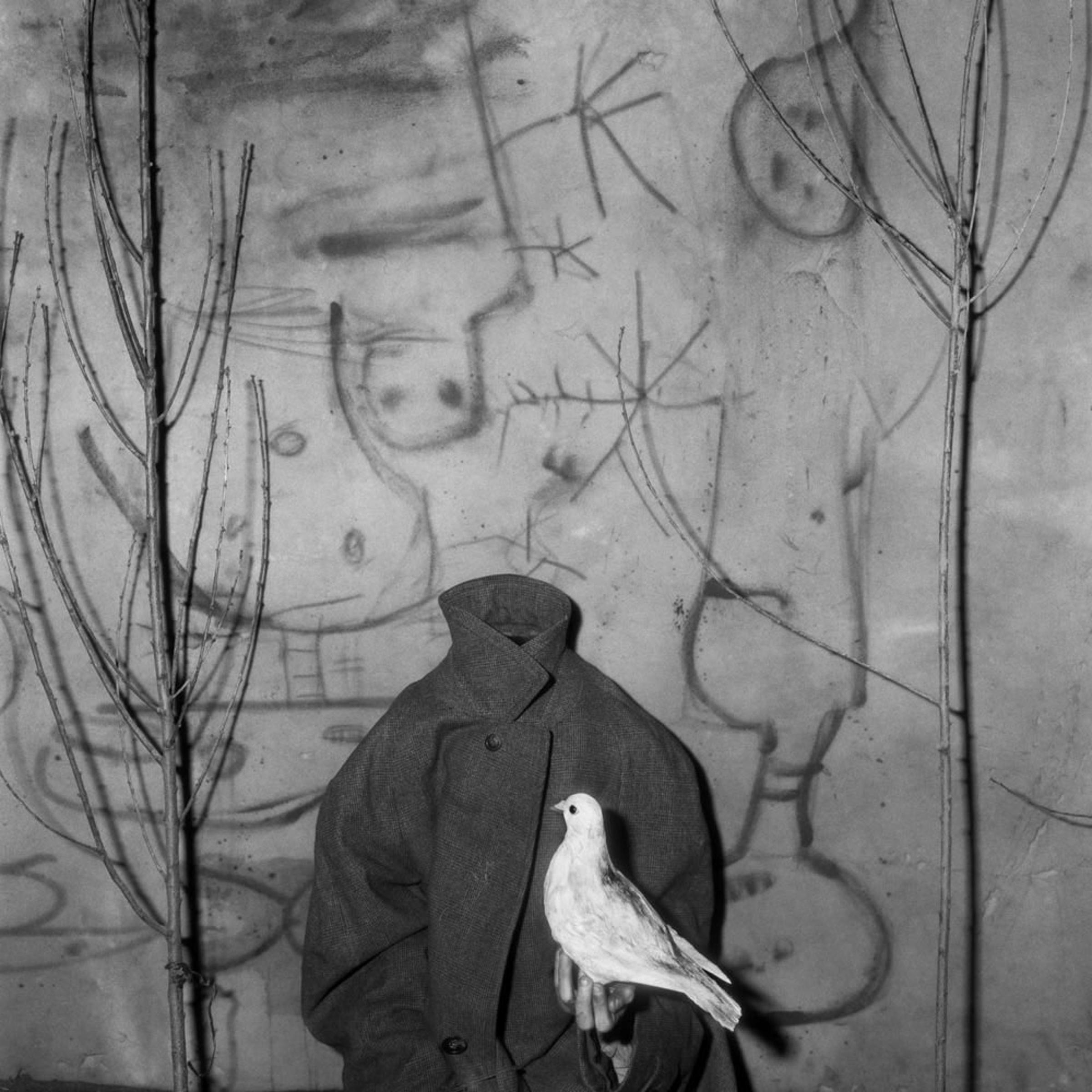 <em>Headless</em>, 2006