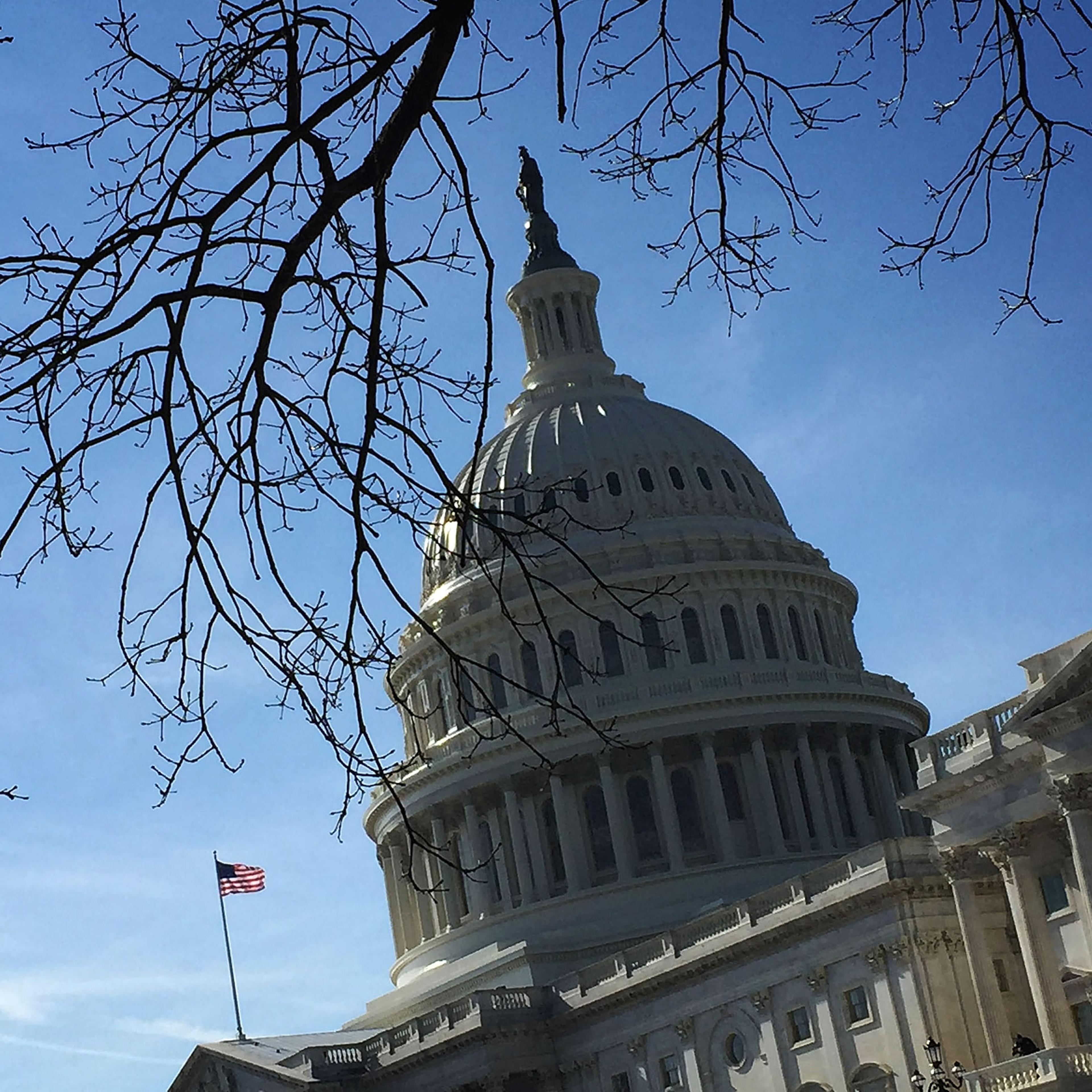 Senate Debates Nomination Of Betsy DeVos To Be Secretary Of Education