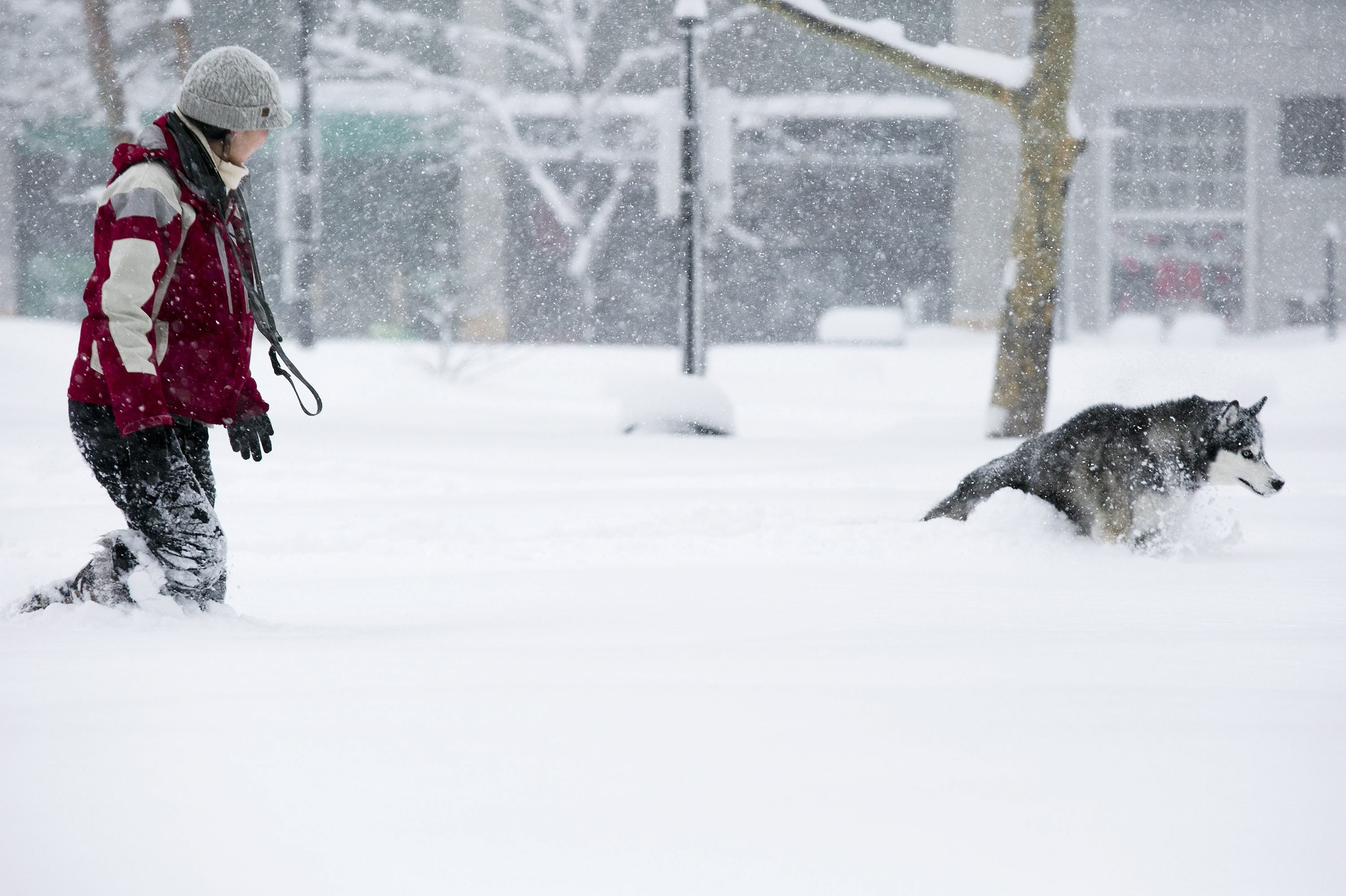 Winter Storm in Boston