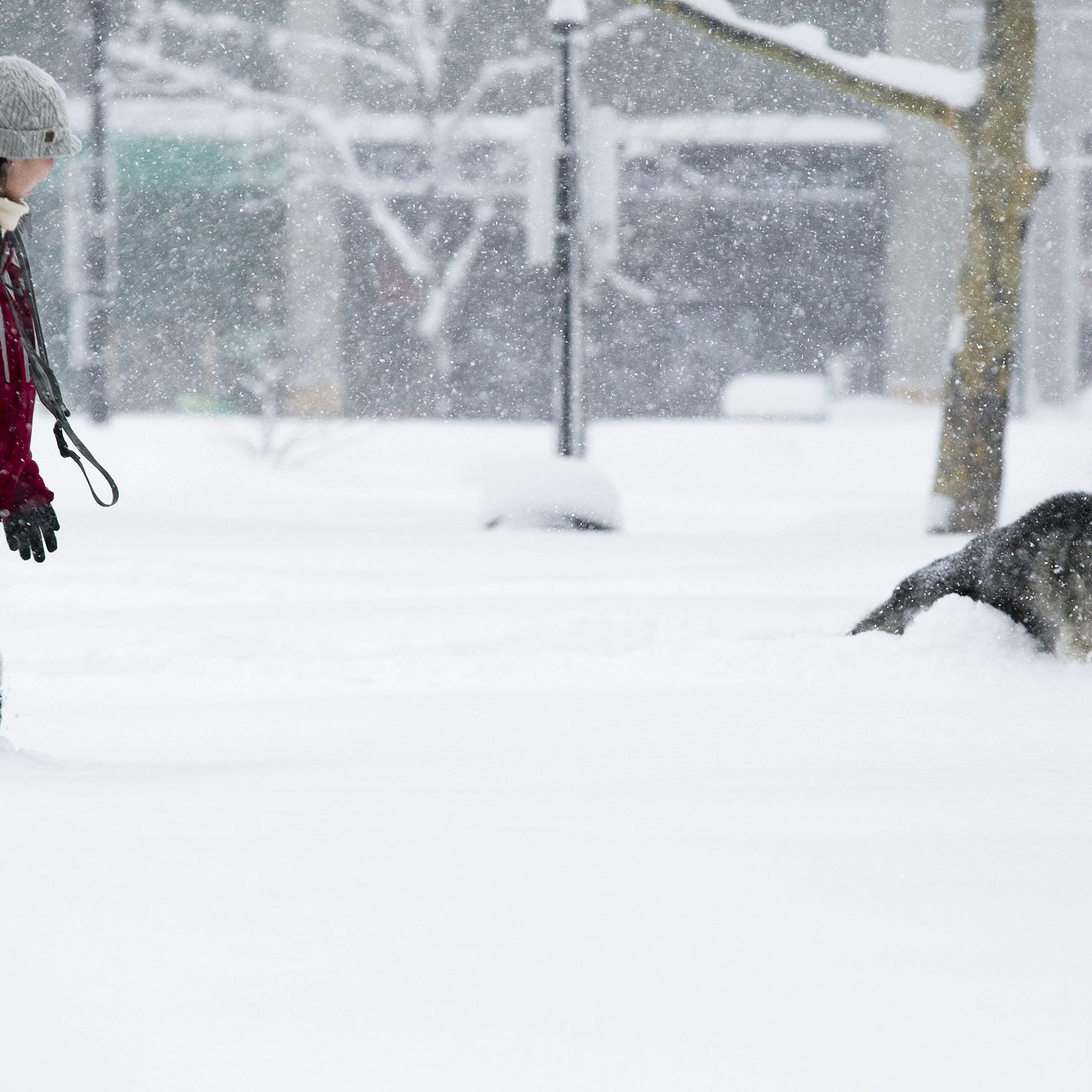 Winter Storm in Boston