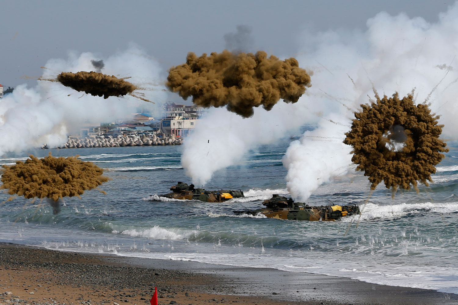 Amphibious assault vehicles of the South Korean Marine Corps