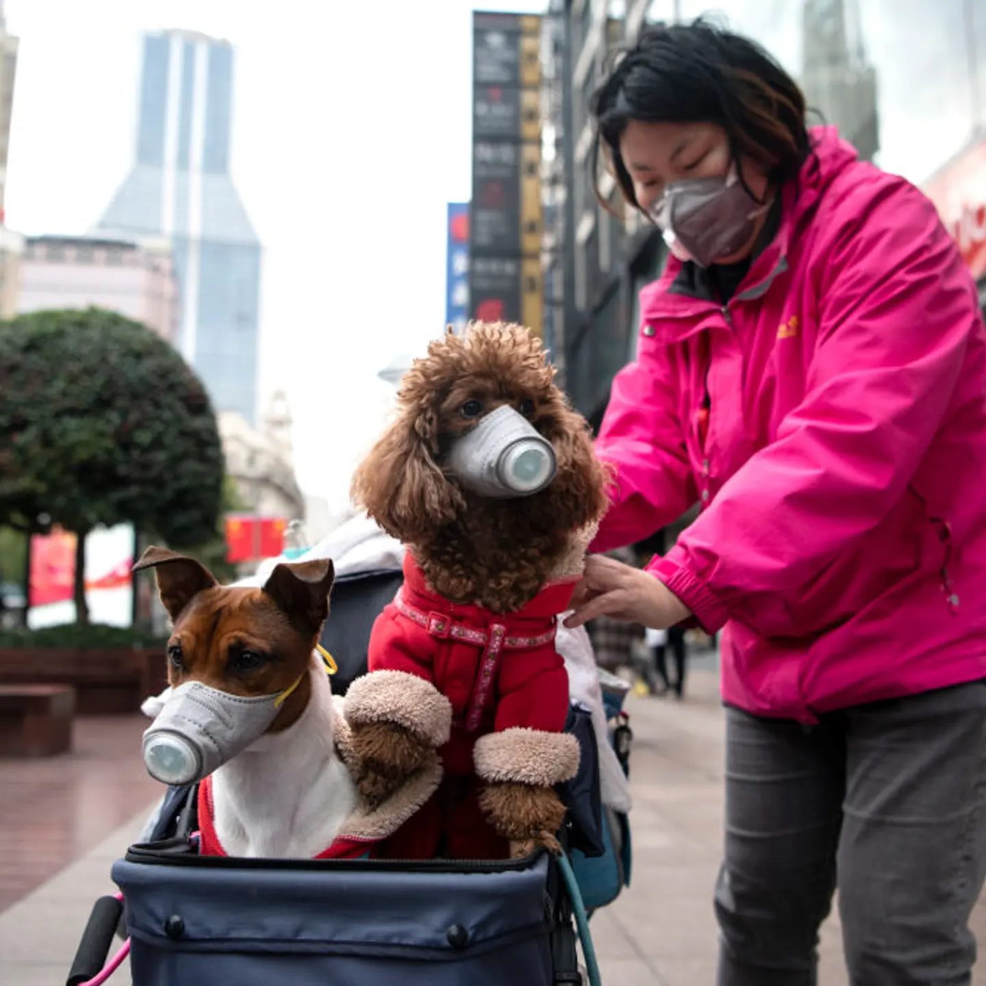 CHINA-HEALTH-VIRUS