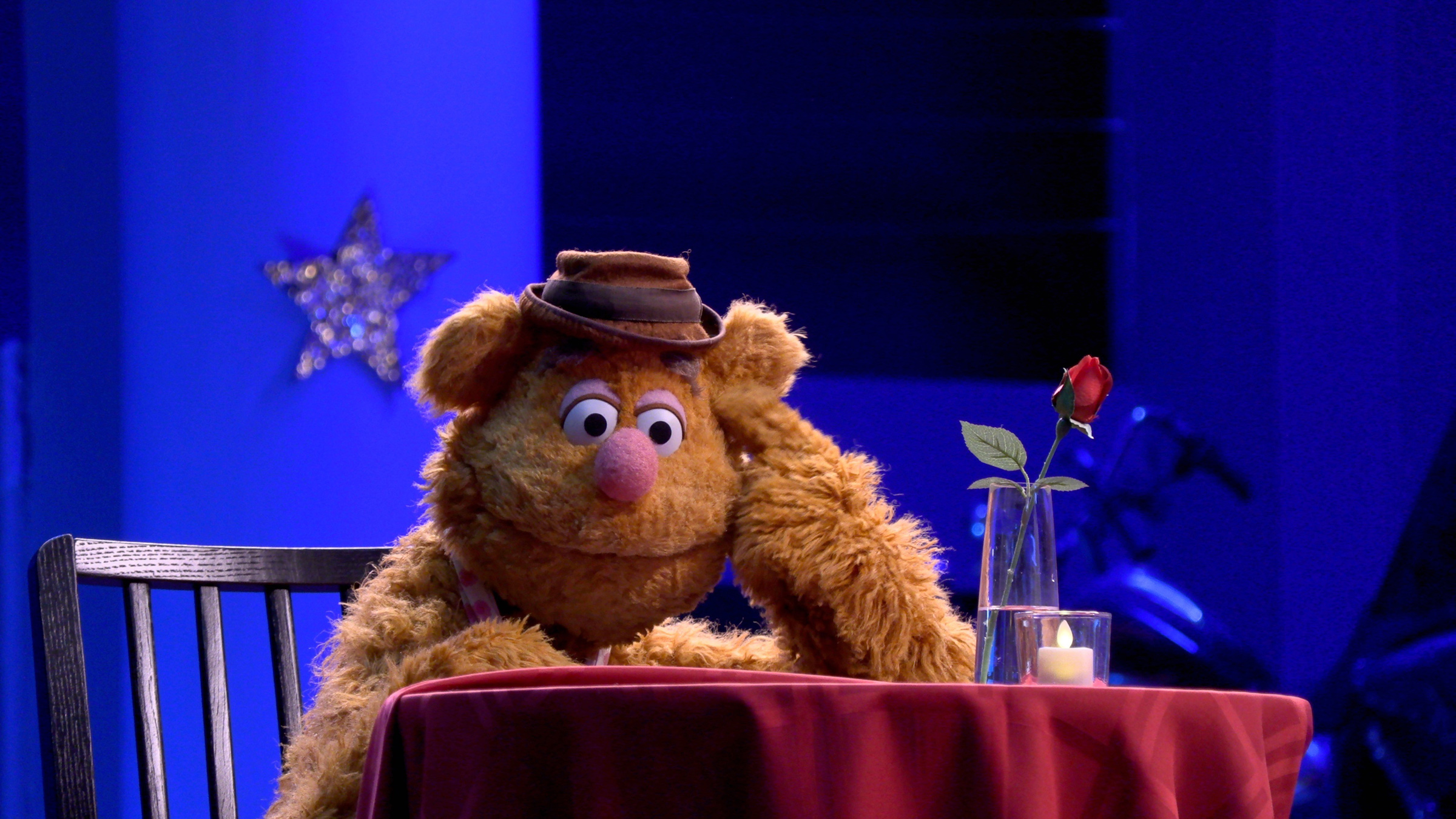 Wocka wocka! Hapless comedian Fozzie Bear returns to TV