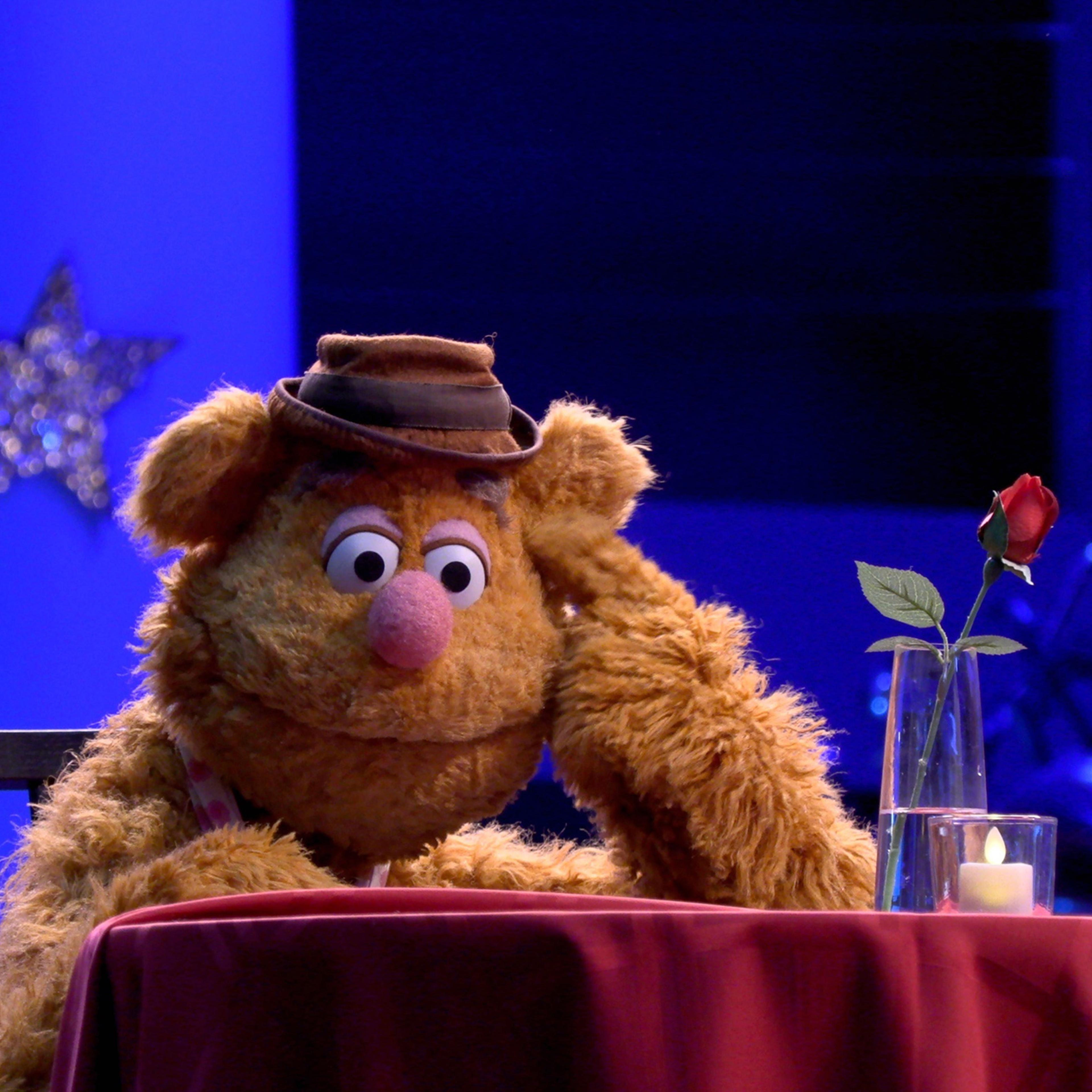 Wocka wocka! Hapless comedian Fozzie Bear returns to TV