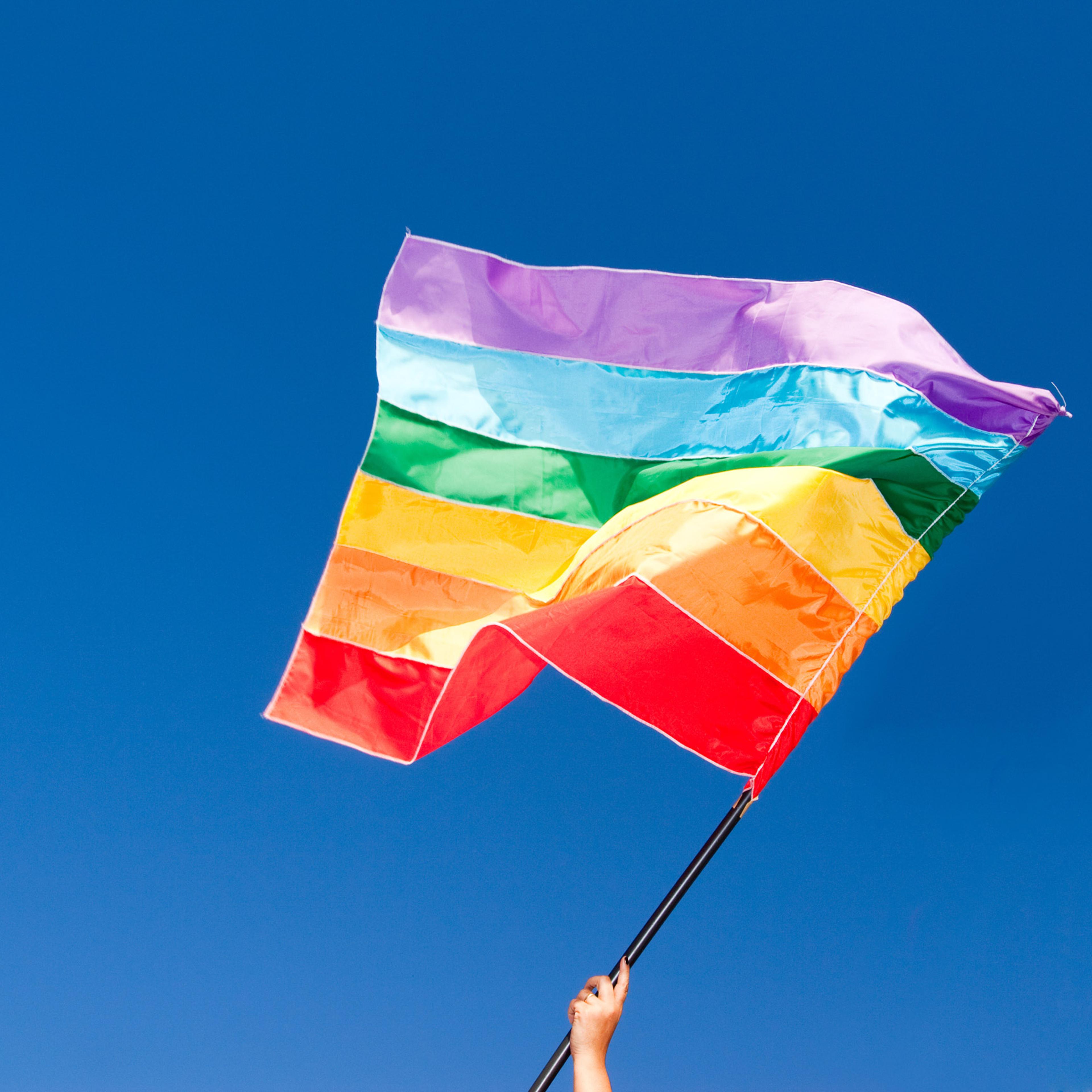 rainbow gay flag