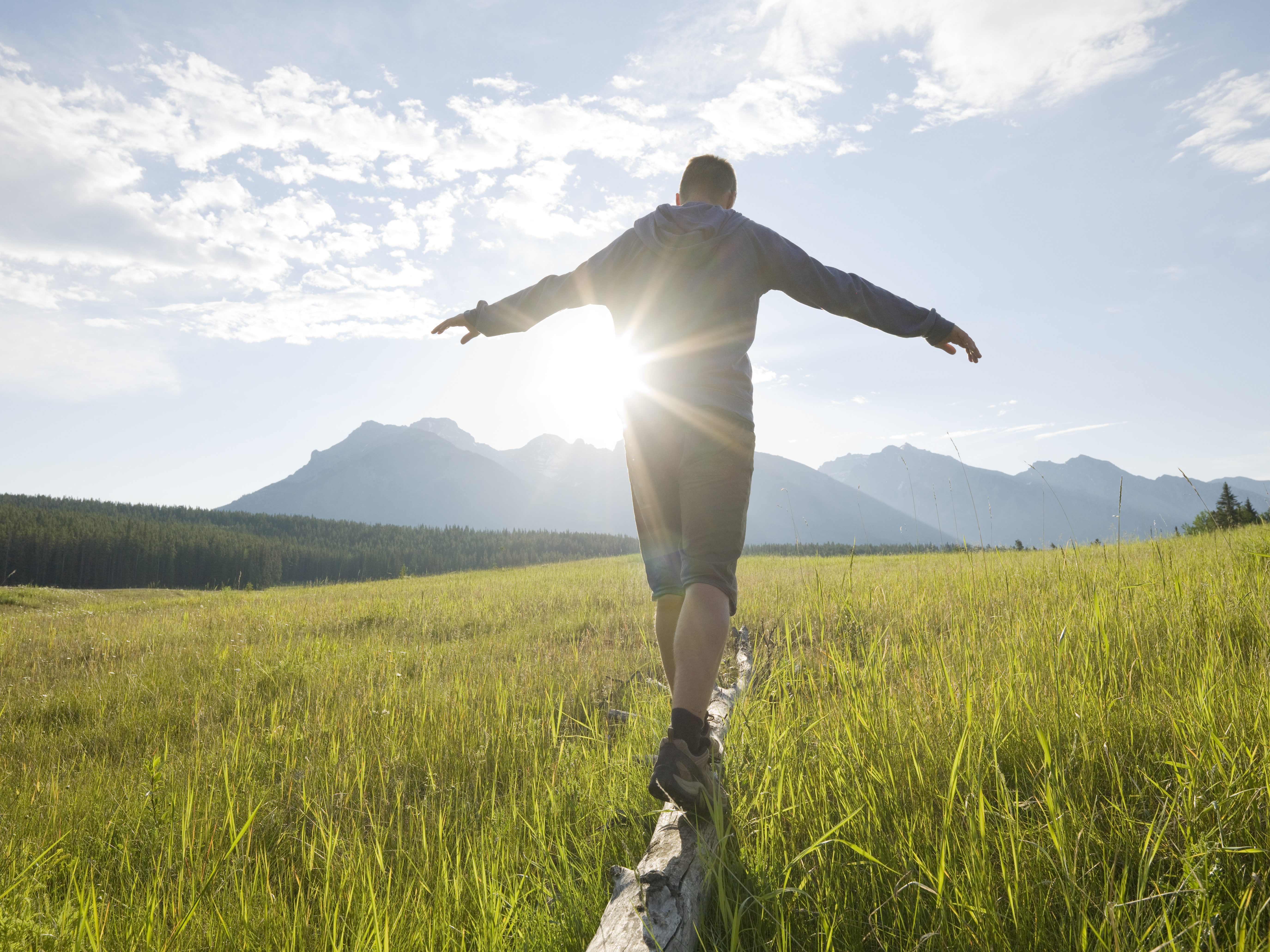 man-rear-view-standing-log-meadow