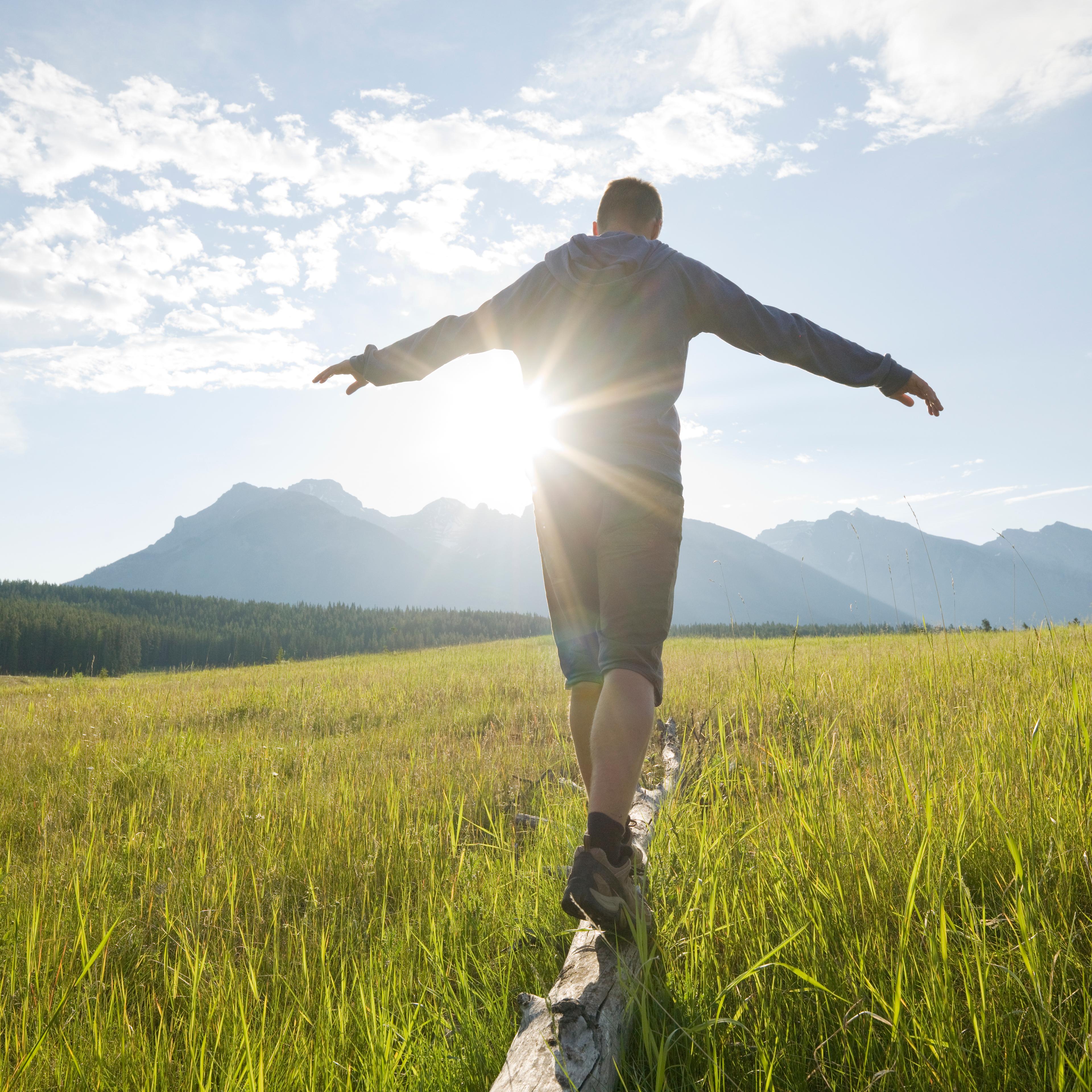 man-rear-view-standing-log-meadow