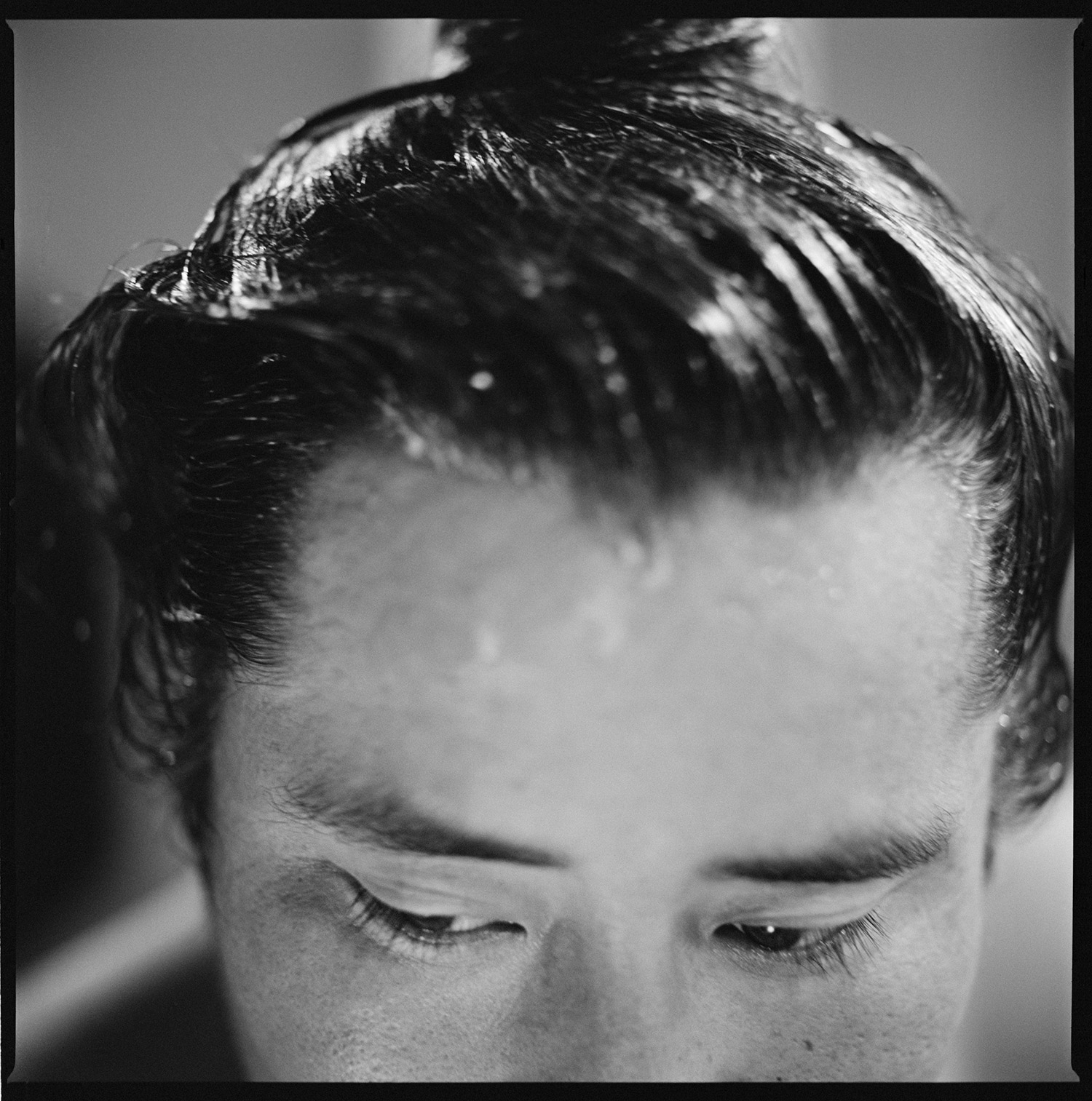 Tokusegawa, Kiriyama-Beya, Tokyo, Japan 2009
