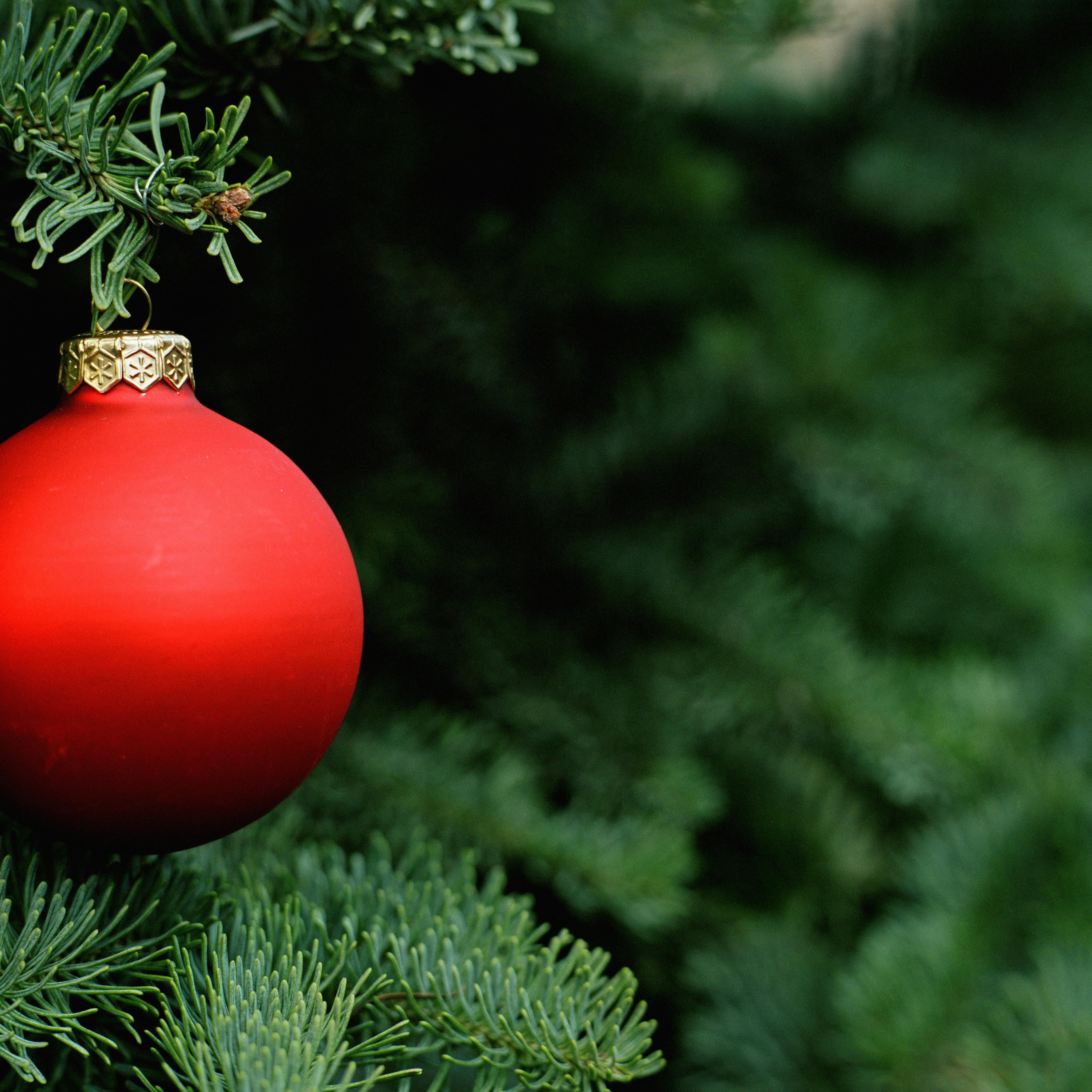 Red ornament on Christmas tree