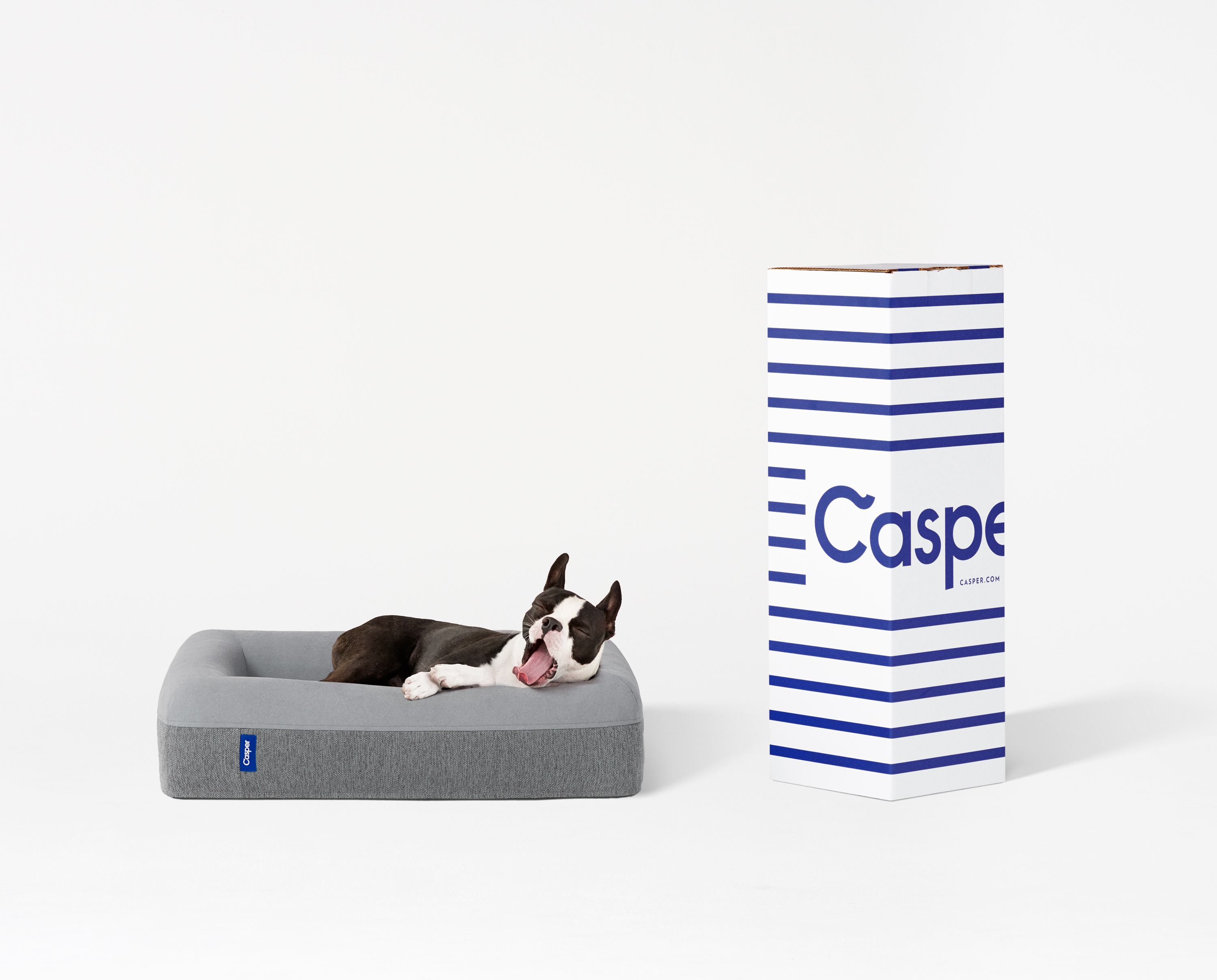 Casper Dog Bed