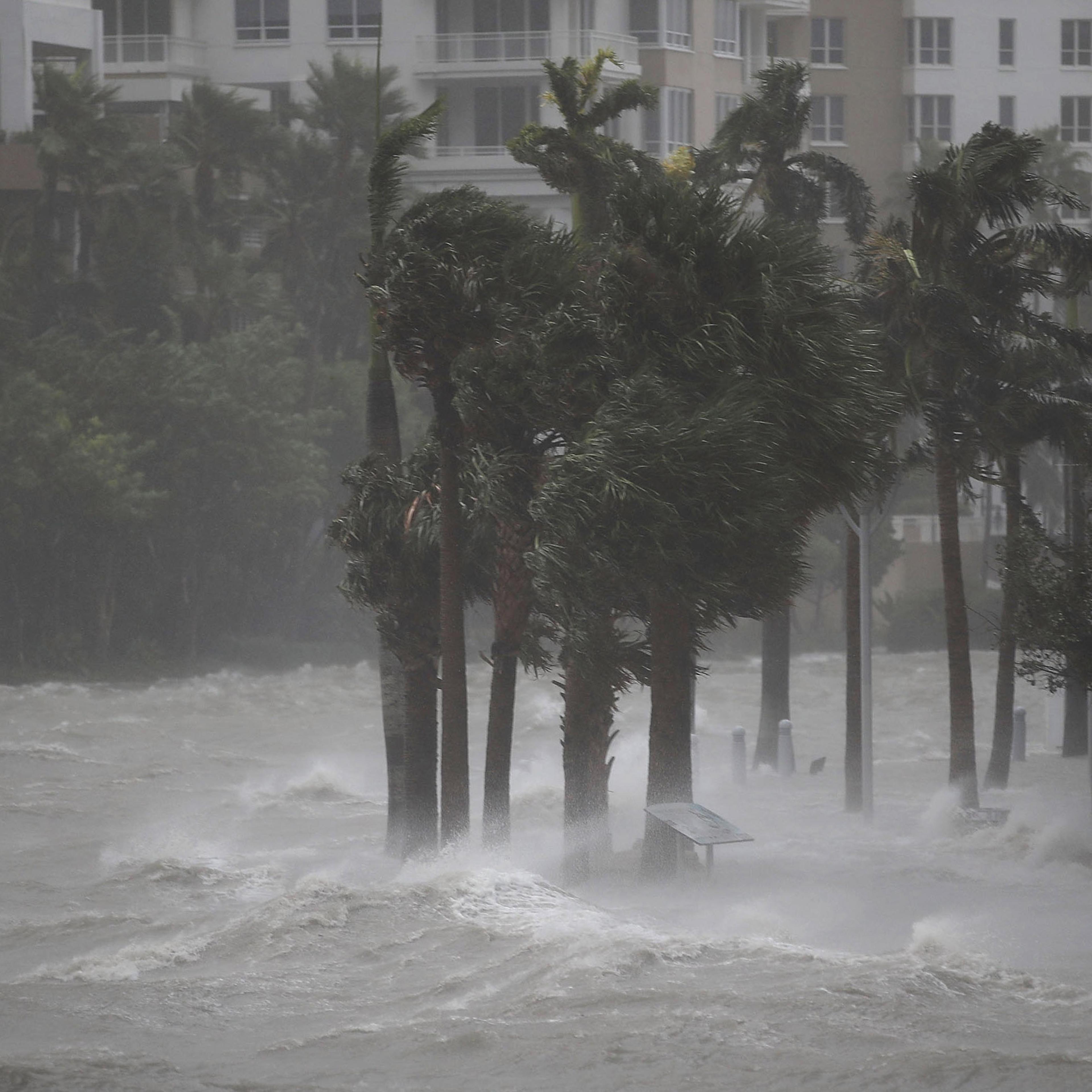 Powerful Hurricane Irma Slams Into Florida
