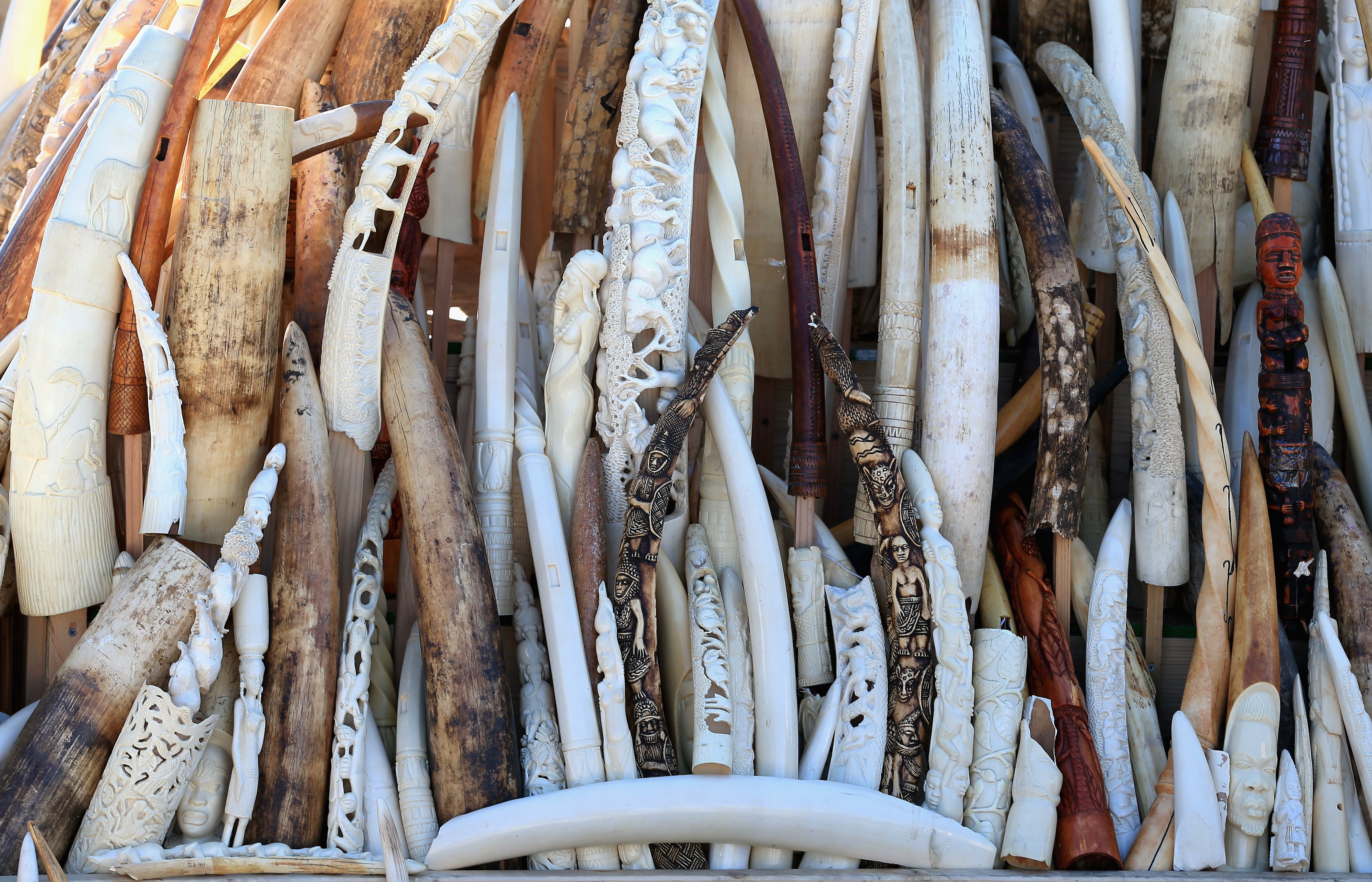 This Is What 6 Tons of Crushed Ivory Looks Like