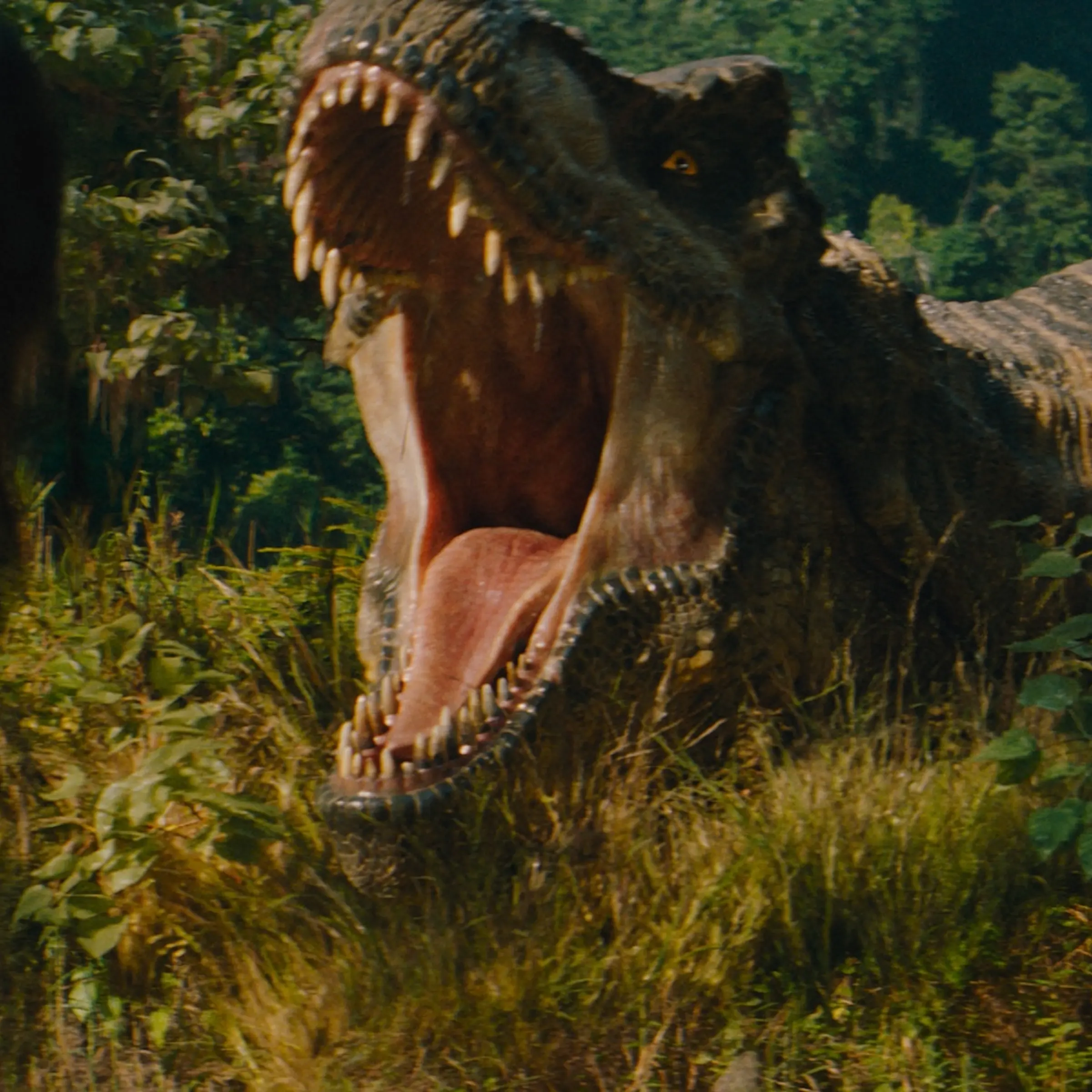 JURASSIC WORLD REBIRTH