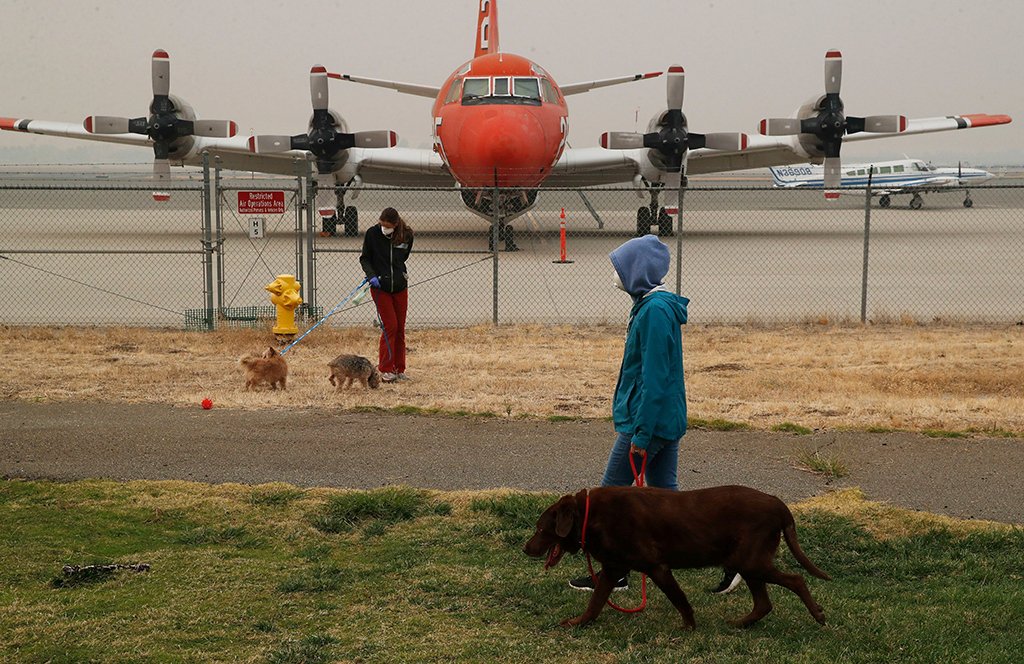 california-wildfire-chico-animals-airport