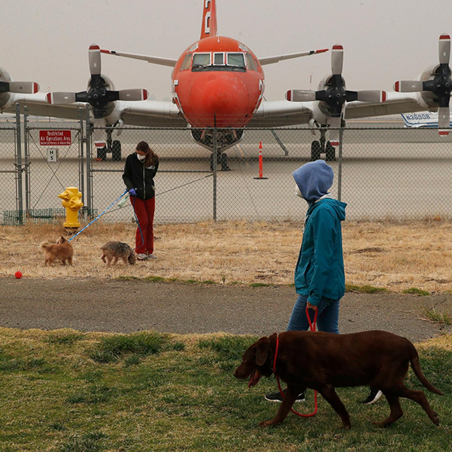 california-wildfire-chico-animals-airport