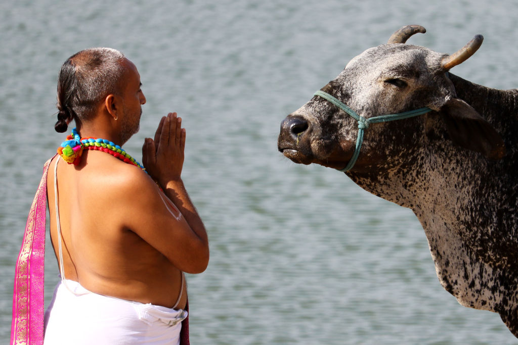 Daily Life In India