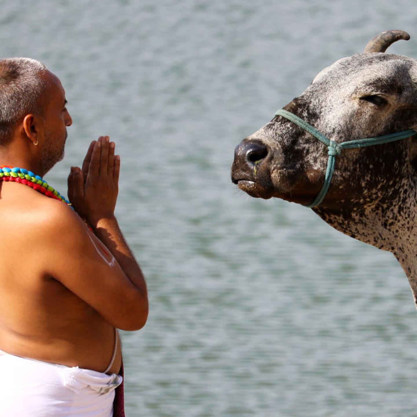 Daily Life In India