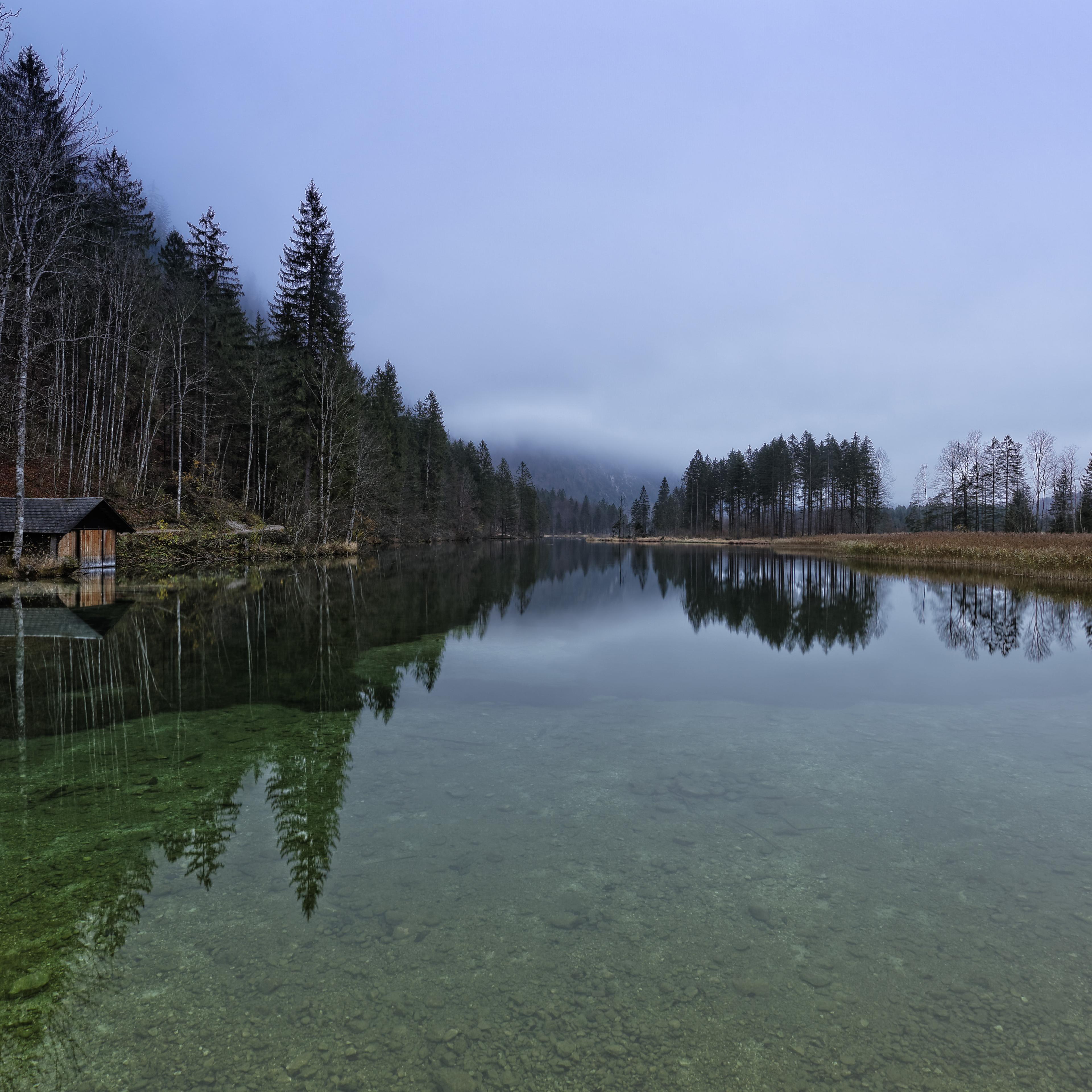 A forest and lake
