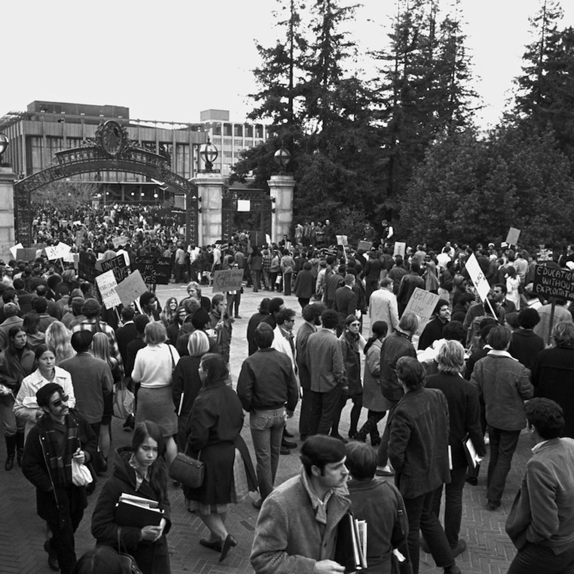 Students Picket On Berkeley Campus