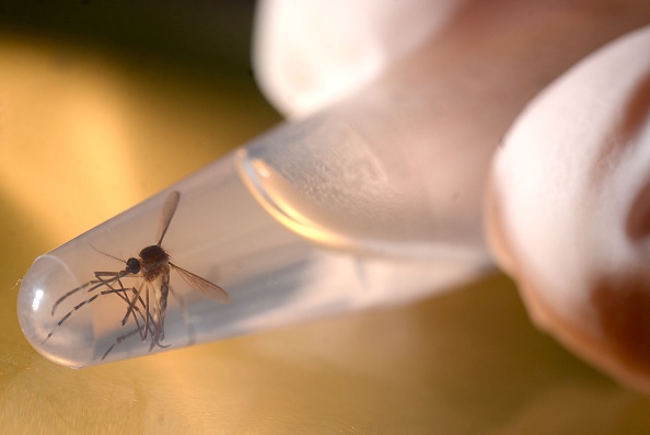 EL SALVADOR-HEALTH-ZIKA-VIRUS
